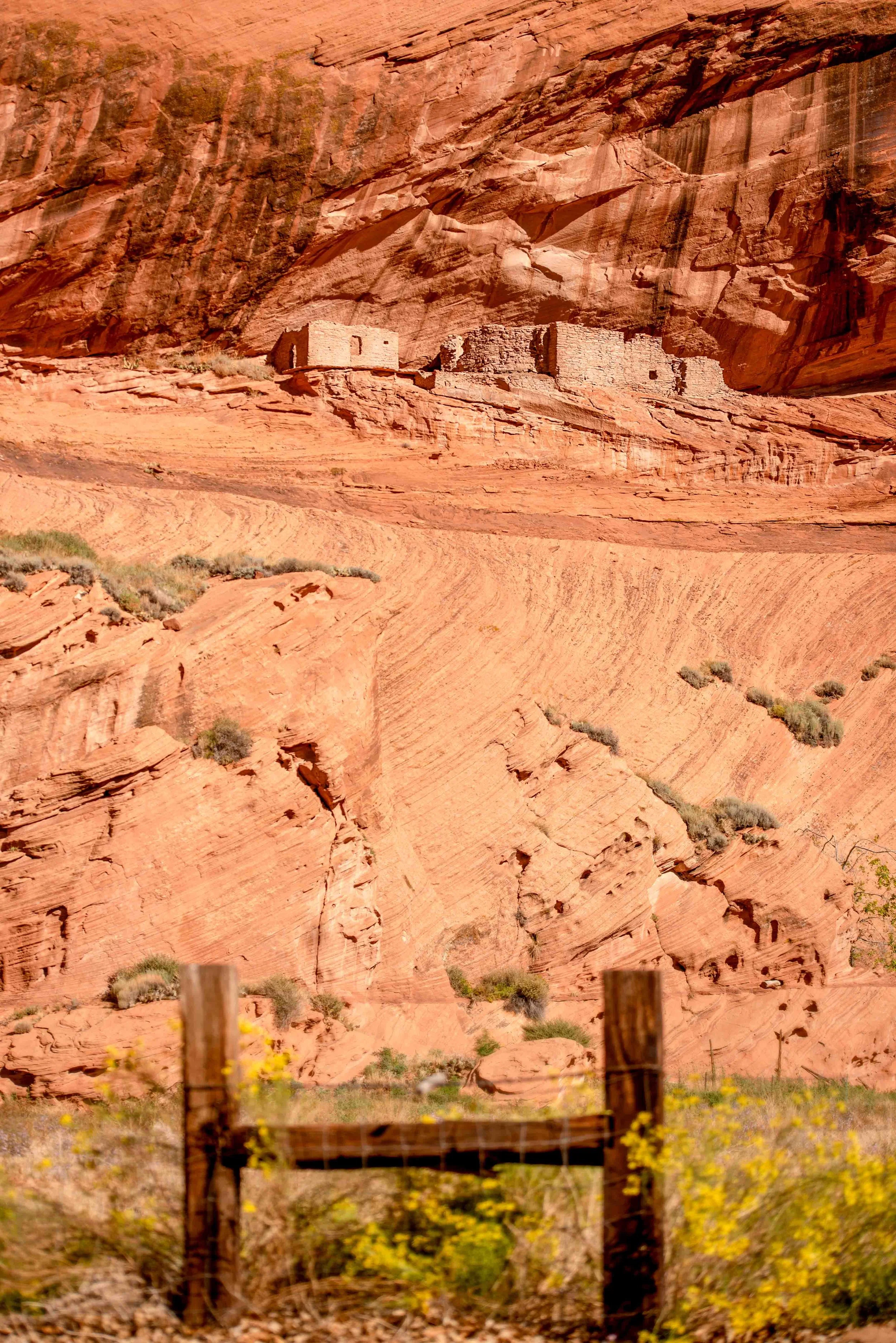 Liz_arizona_website-7.jpg