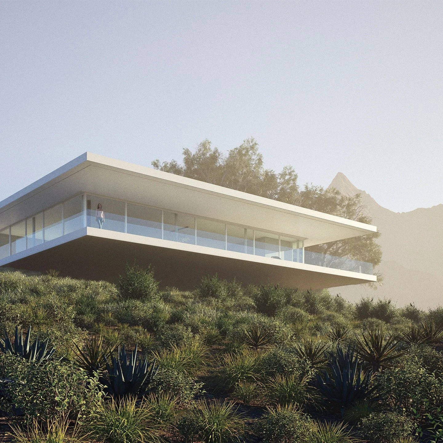Our recent proposal for a house in the Karoo.

Cantilevering over the ridge of a hill top, the house is sandwiched between two horizontal planes with deep veranda spaces all around.

#d5render
#architecture #design
#illustrarch