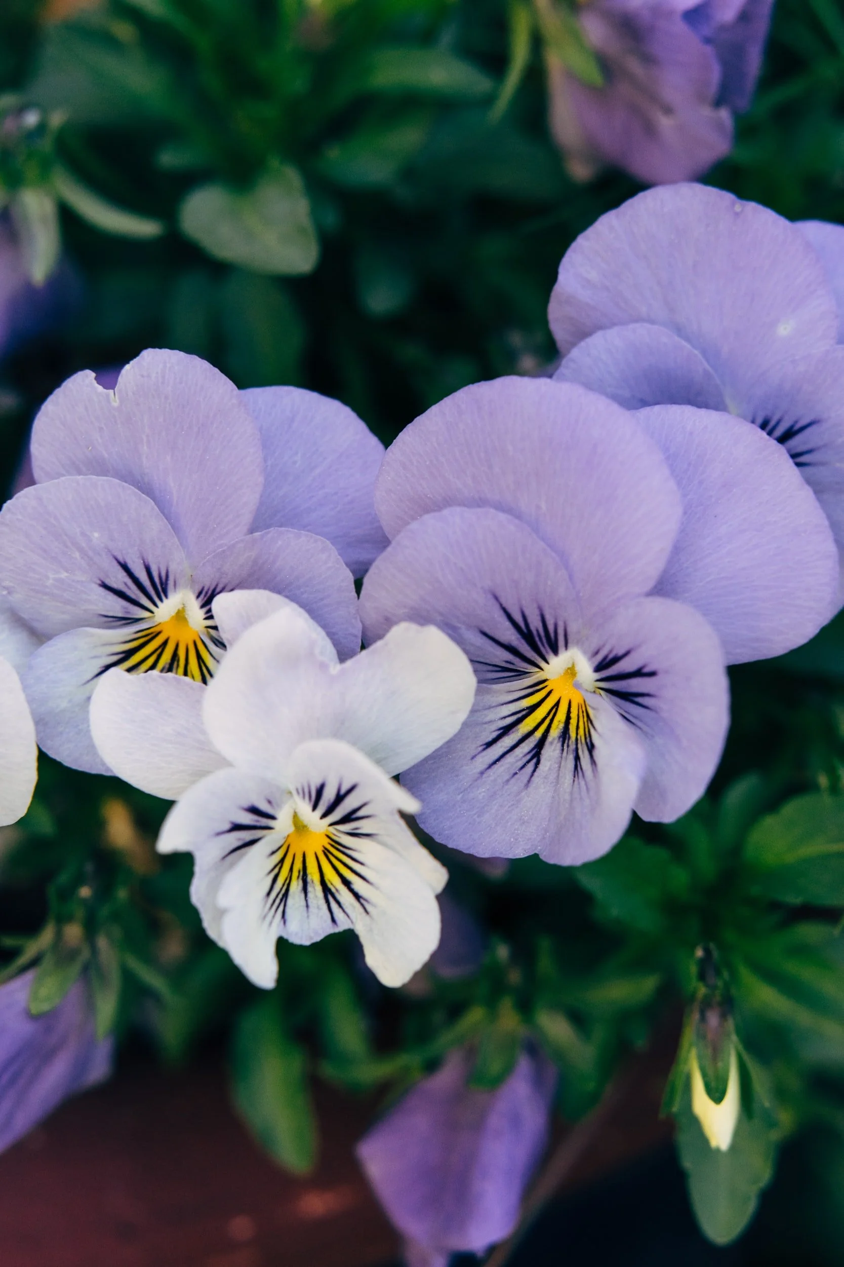 unsplash-image-xdDUAdiPEIM.jpg