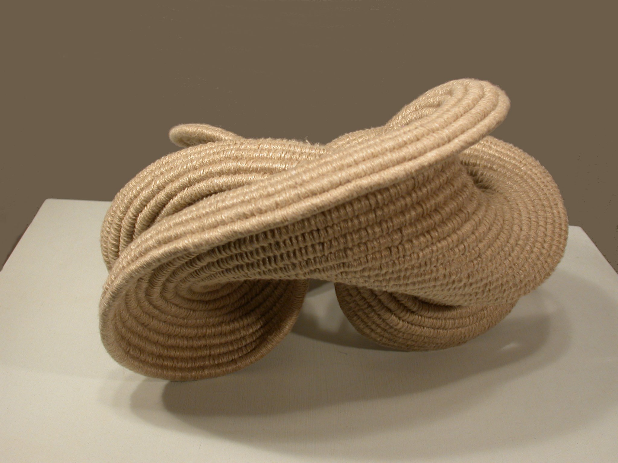 Mobius — Ellen Dickinson