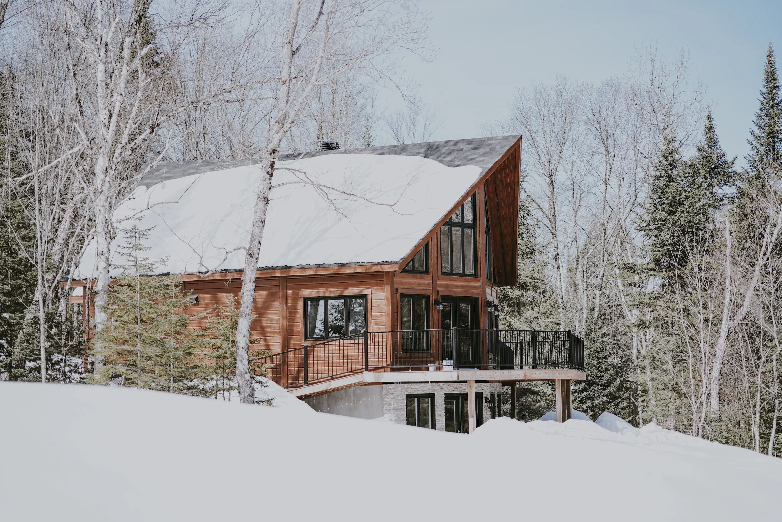 Steps to Take When Your Asphalt Shingles are Damaged