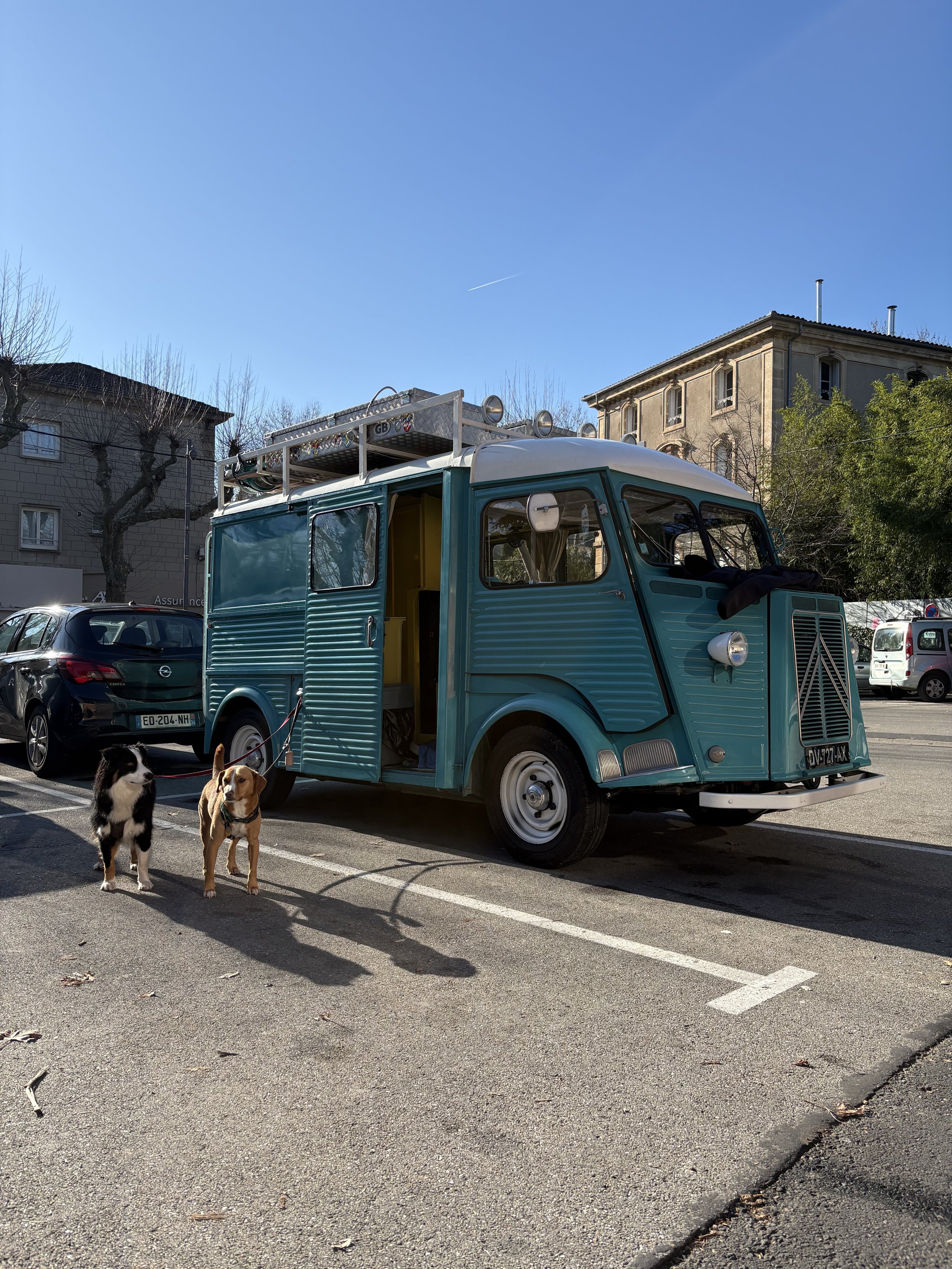 Berry Archie & Hetty.jpg