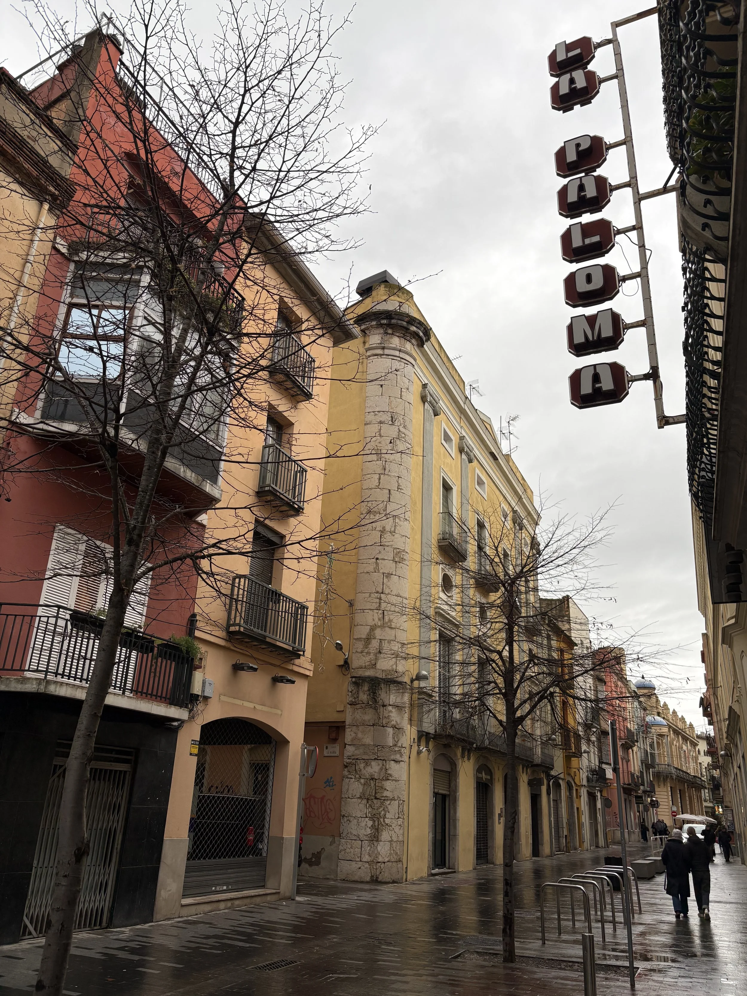 Mimi Zora Figueres.jpg