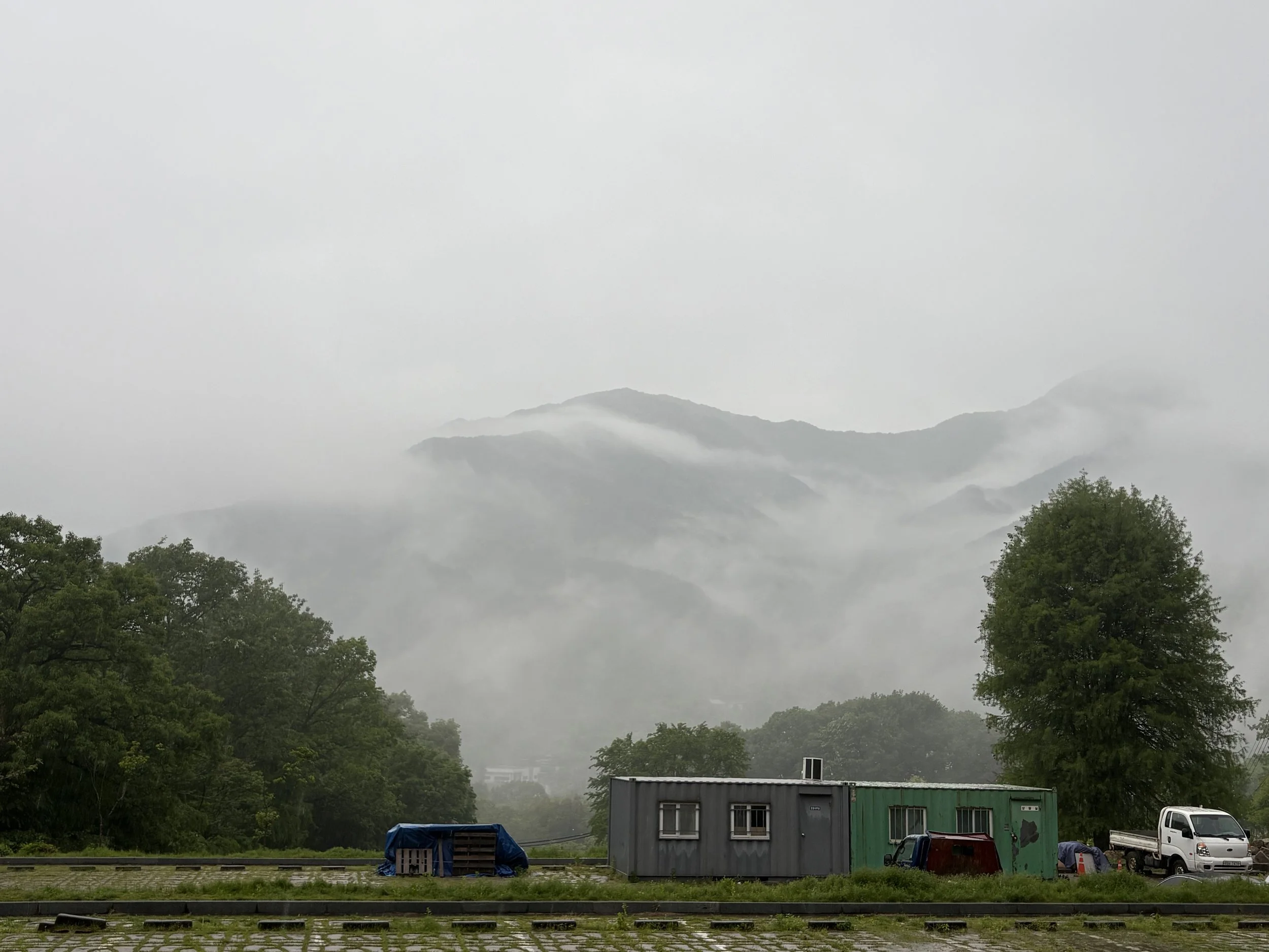 IMG_8451.jpeg