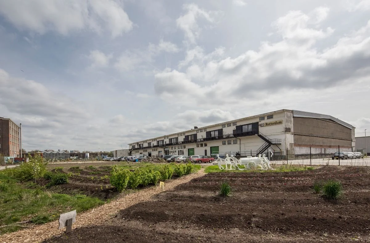 Nieuwsflits: M4H IN HET NIEUWS 