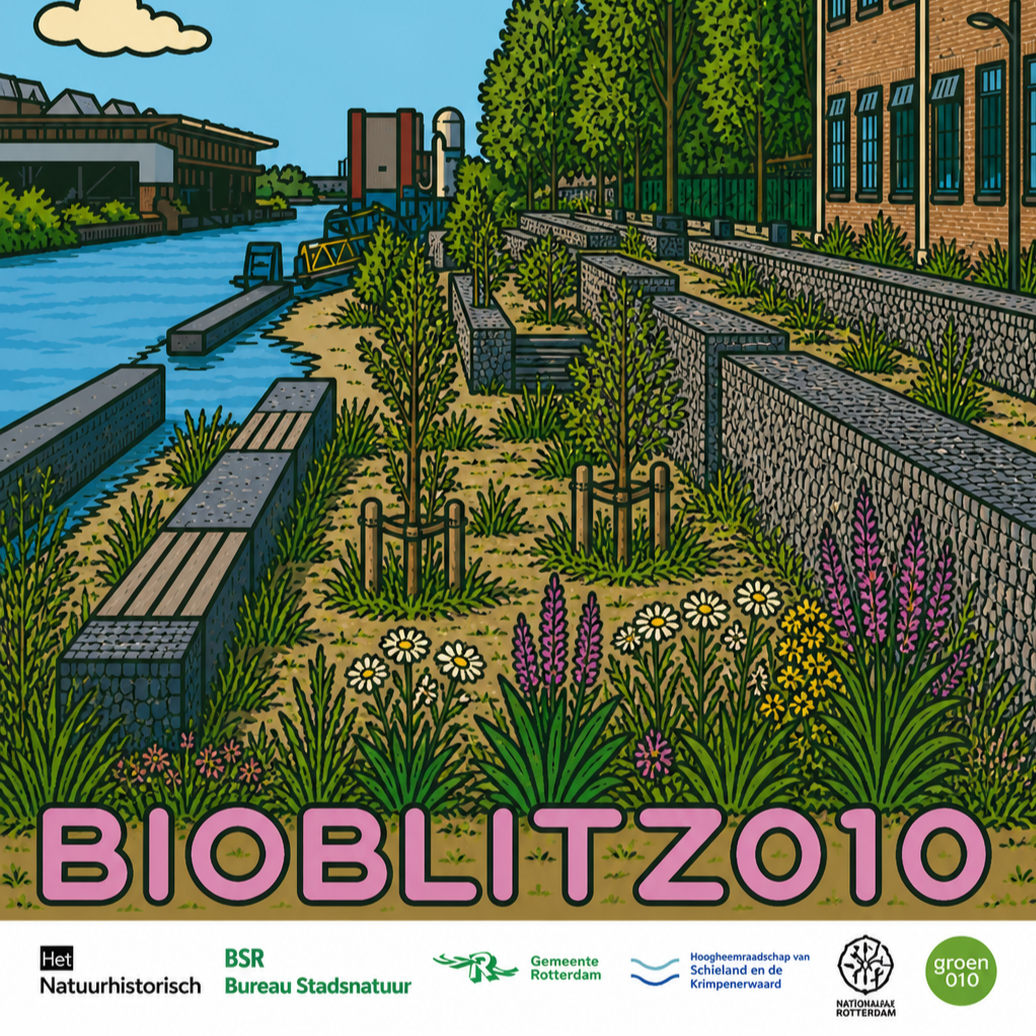 Bioblitz010