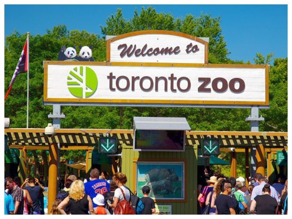 toronto-zoo.jpg
