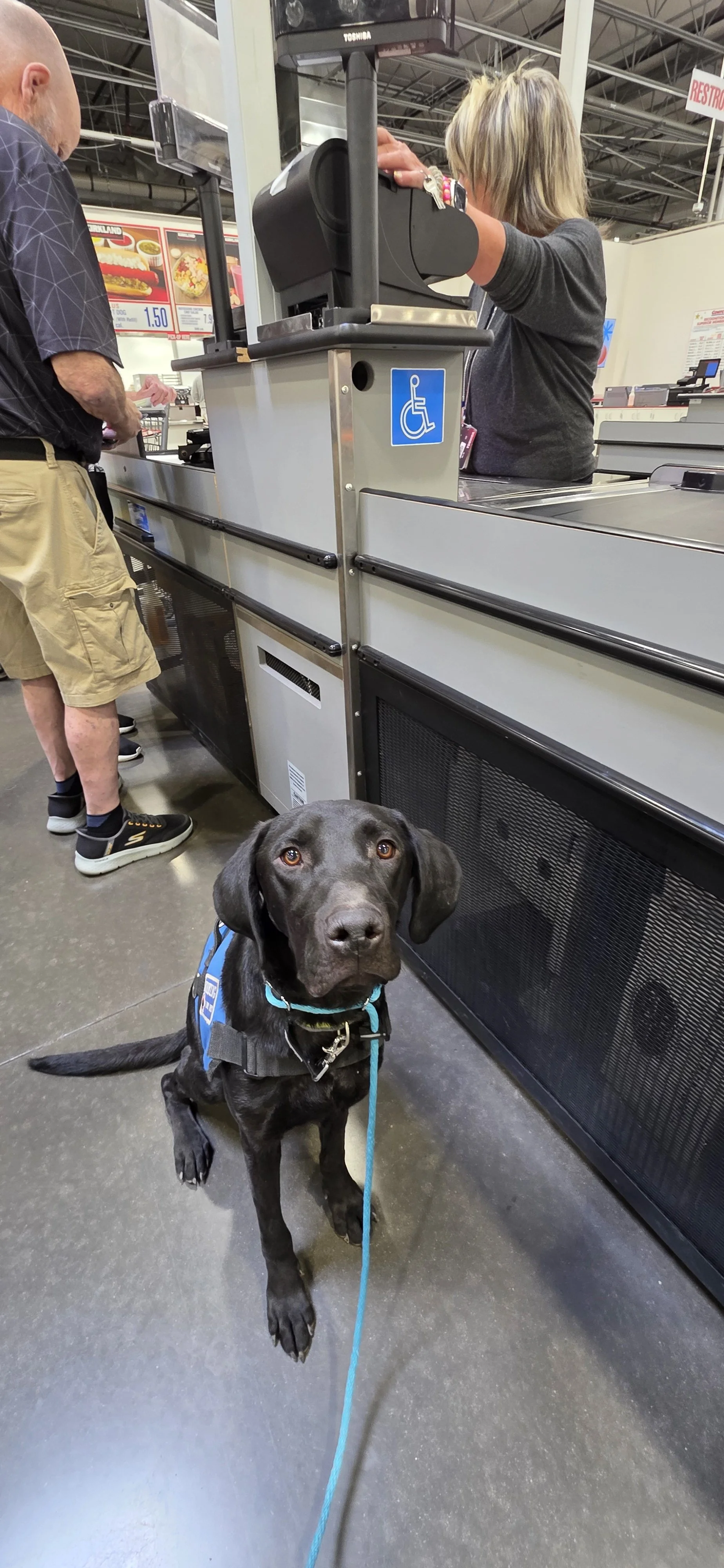 Radar - M Labrador