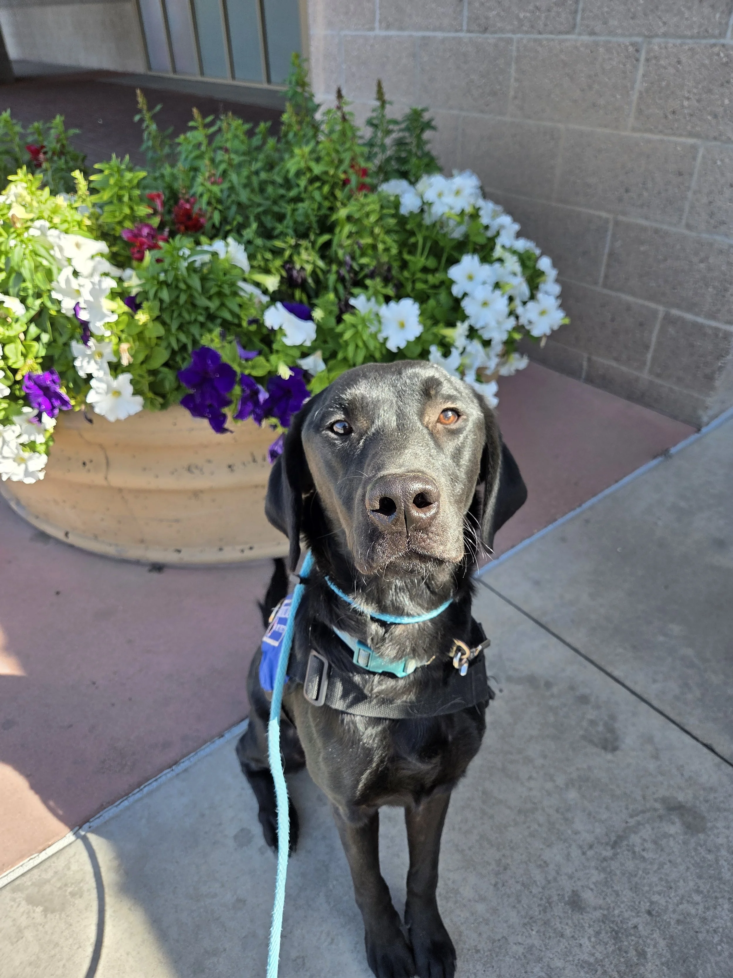 20260223_111844.jpg