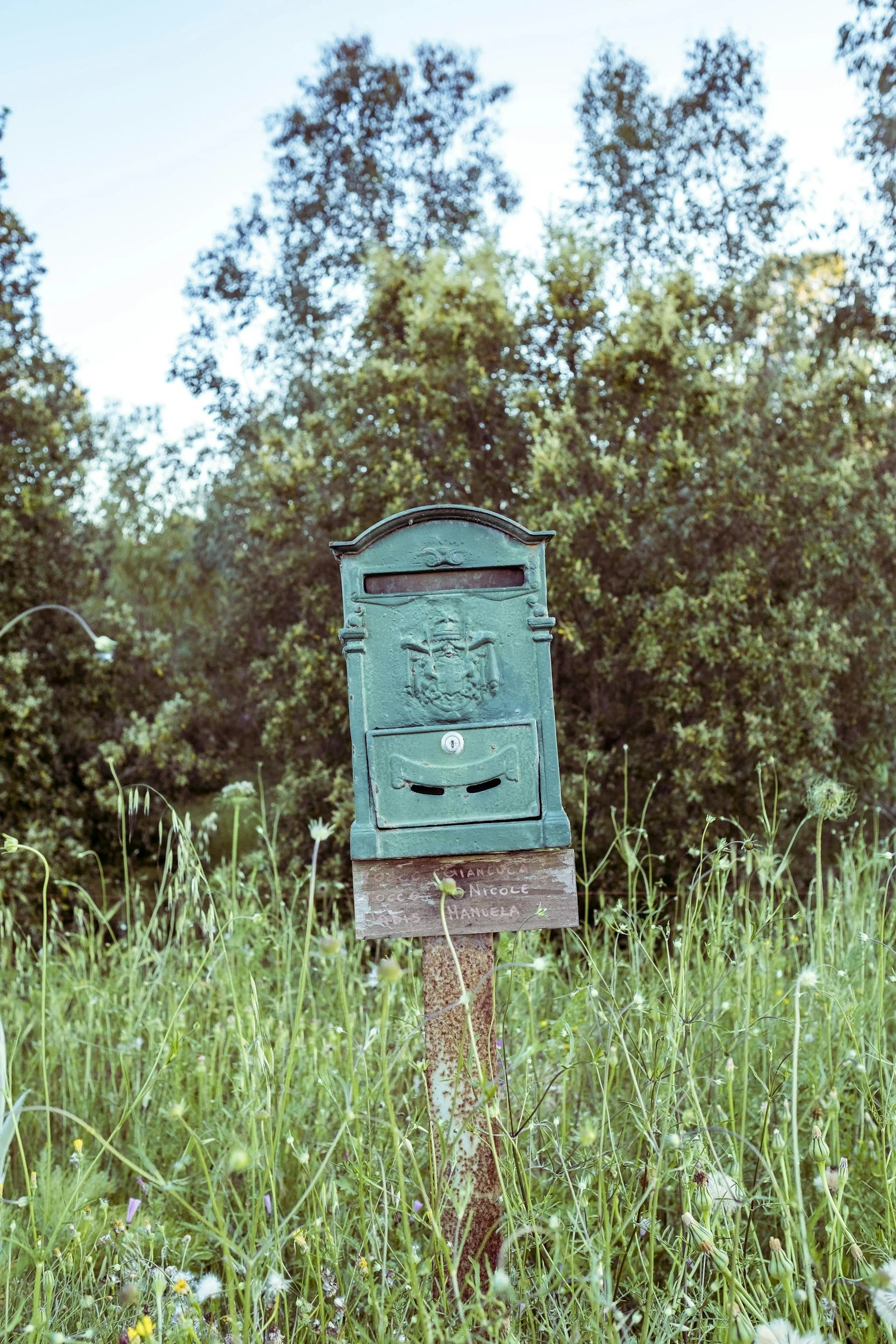 A green mailbox with a decorative crest, mounted on a chipped wooden post, surrounded by tall grass and wildflowers, with large trees in the background under a clear sky.