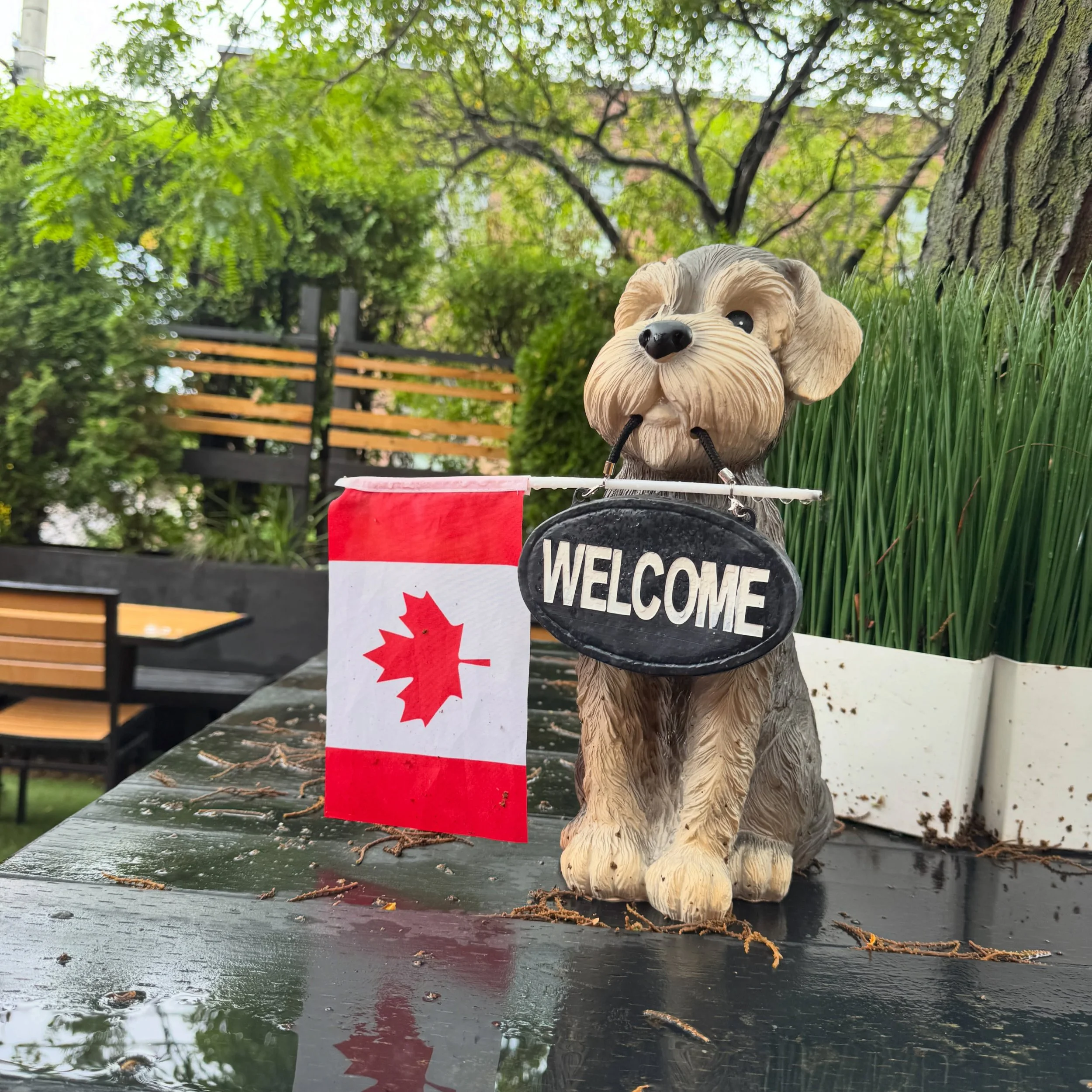 There&rsquo;s still plenty of summer left, which means plenty of time for patio drinks, good food, and very important meetings with our four-legged classmates. 🐶🍹

Our dog-friendly patio is open to all pooches, so bring your pup along and enjoy the