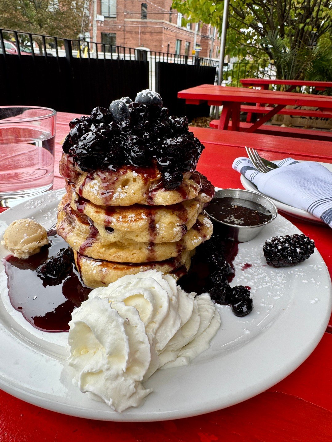 Guess who heard that blueberries are healthy for them and decided that meant she should go ALL OUT at brunch? 🫐🐶

#schoolrestaurant #libertyvillagebia #dogfriendlytoronto #torontobrunch #tcfcommunity
