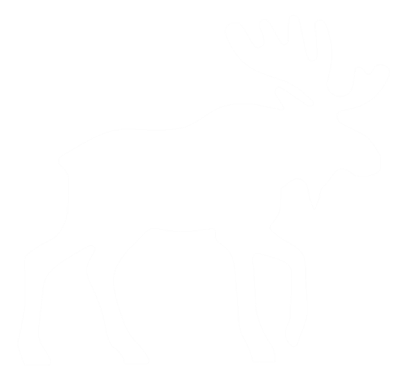 The Lost Moose