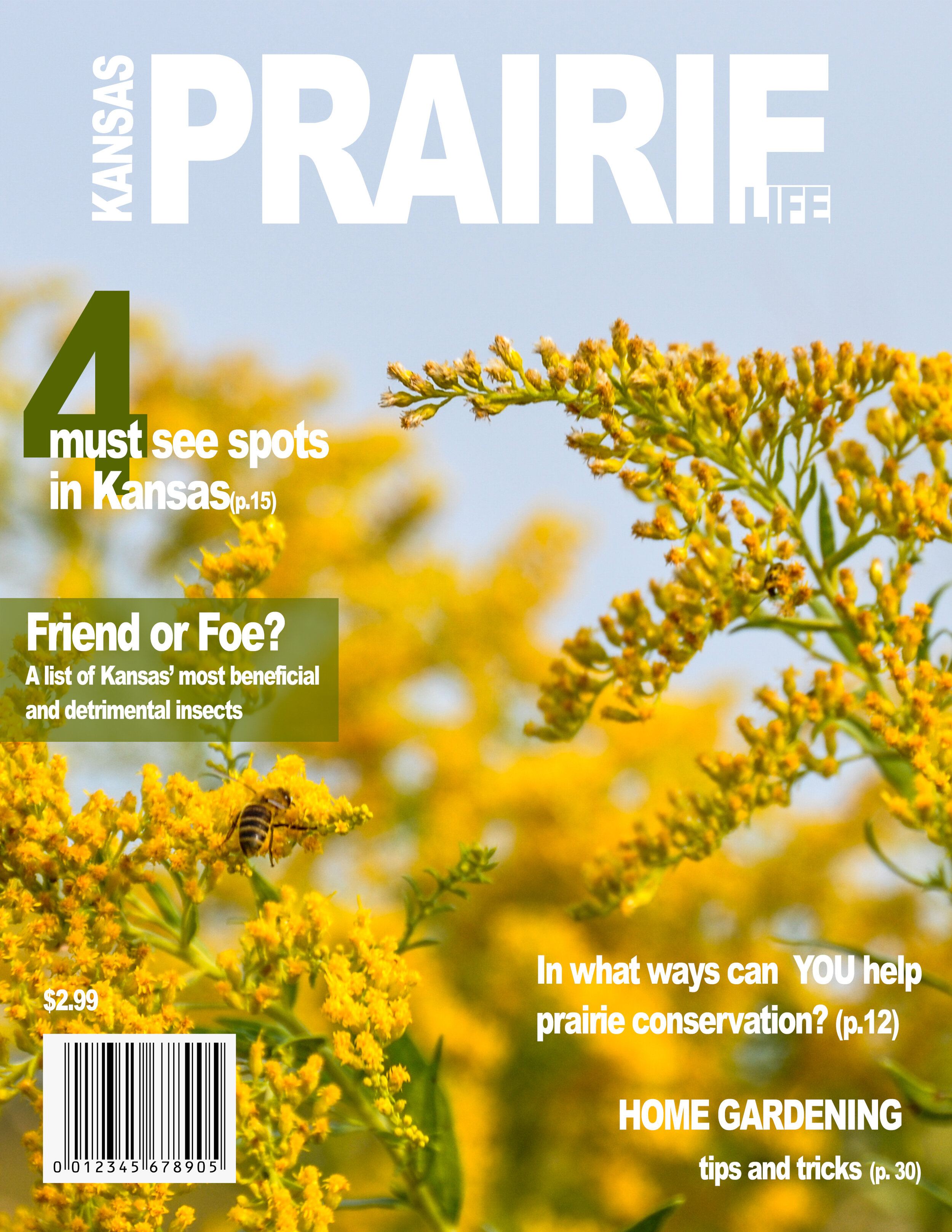 Kansas Prairie Life Magazine.jpg