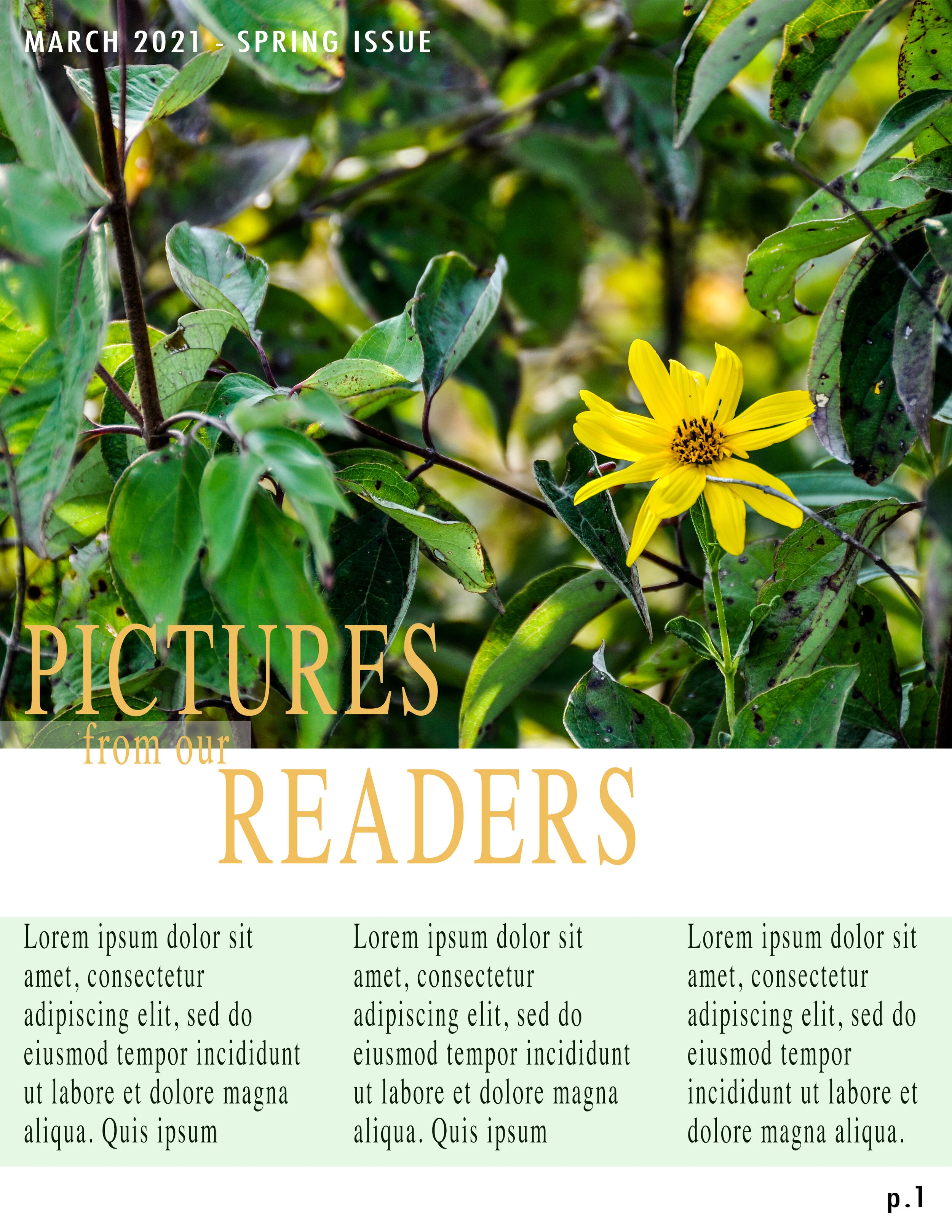 Pictures from Readers.jpg