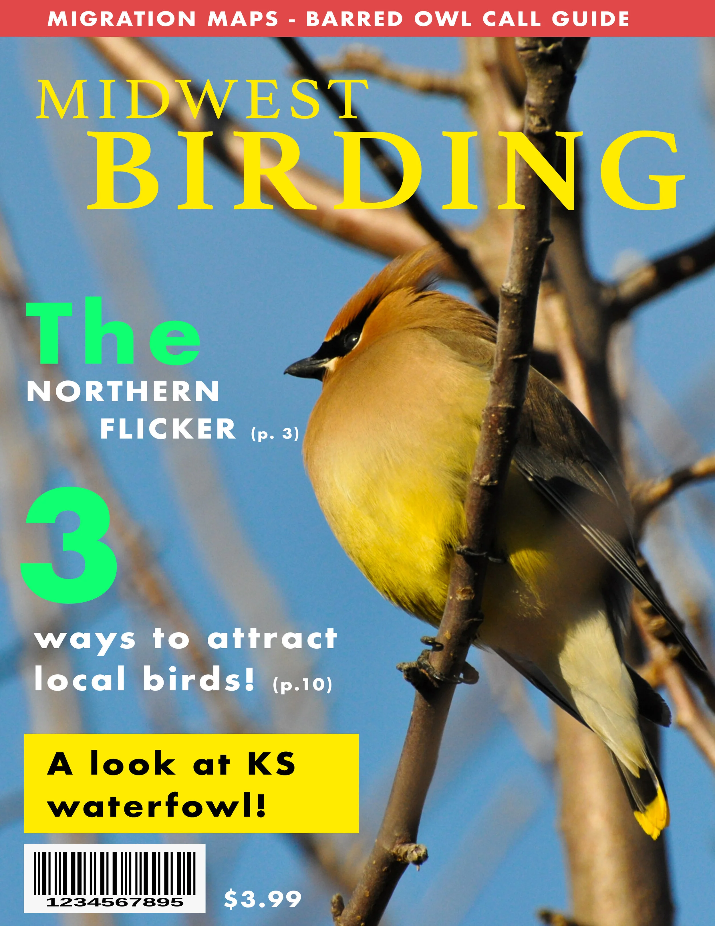 Midwest Birding Cover.jpg
