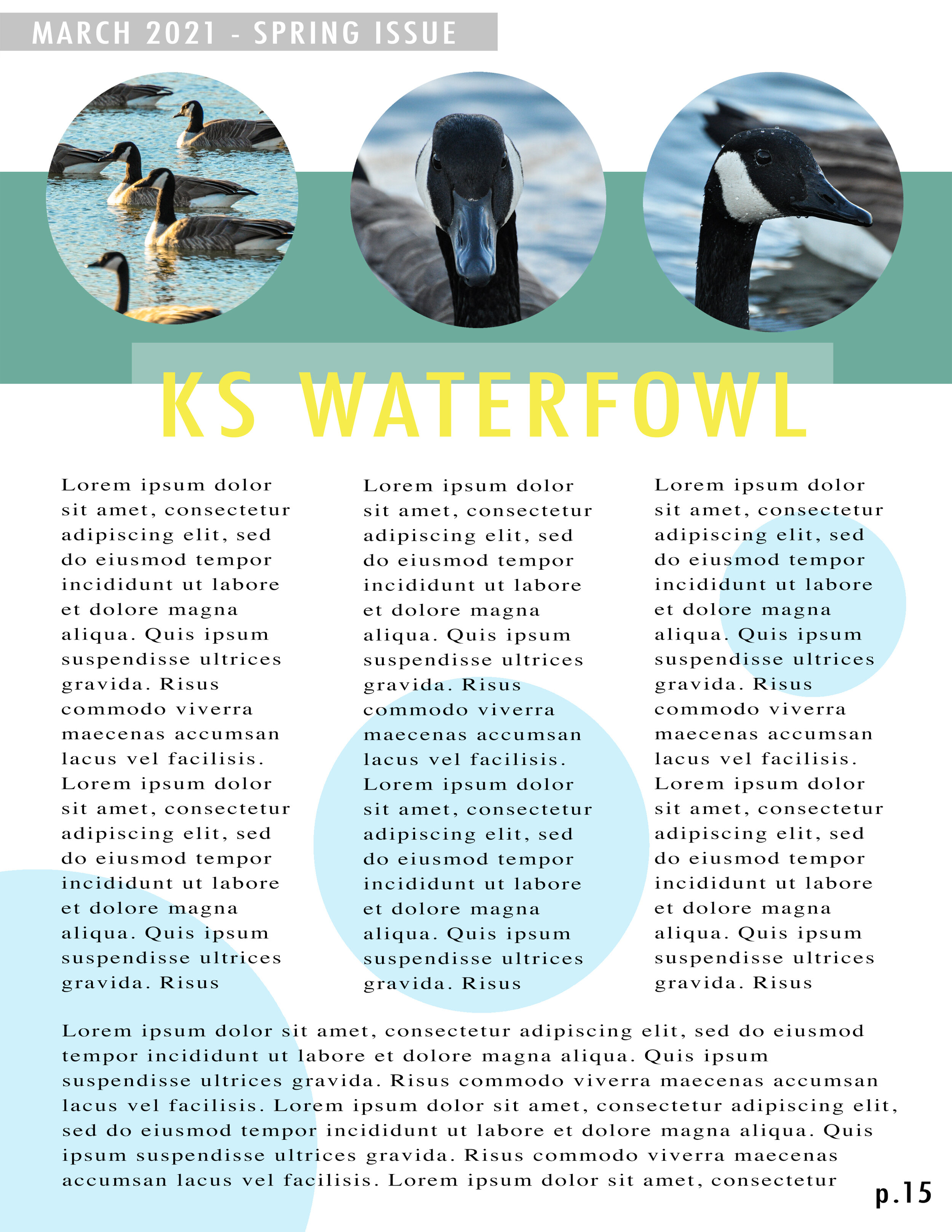 Kansas Waterfowl Page.jpg