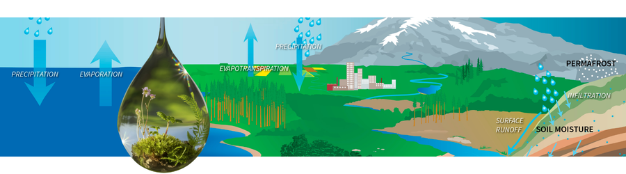 High-rate biofiltration system used for urban stormwater capture and treatment