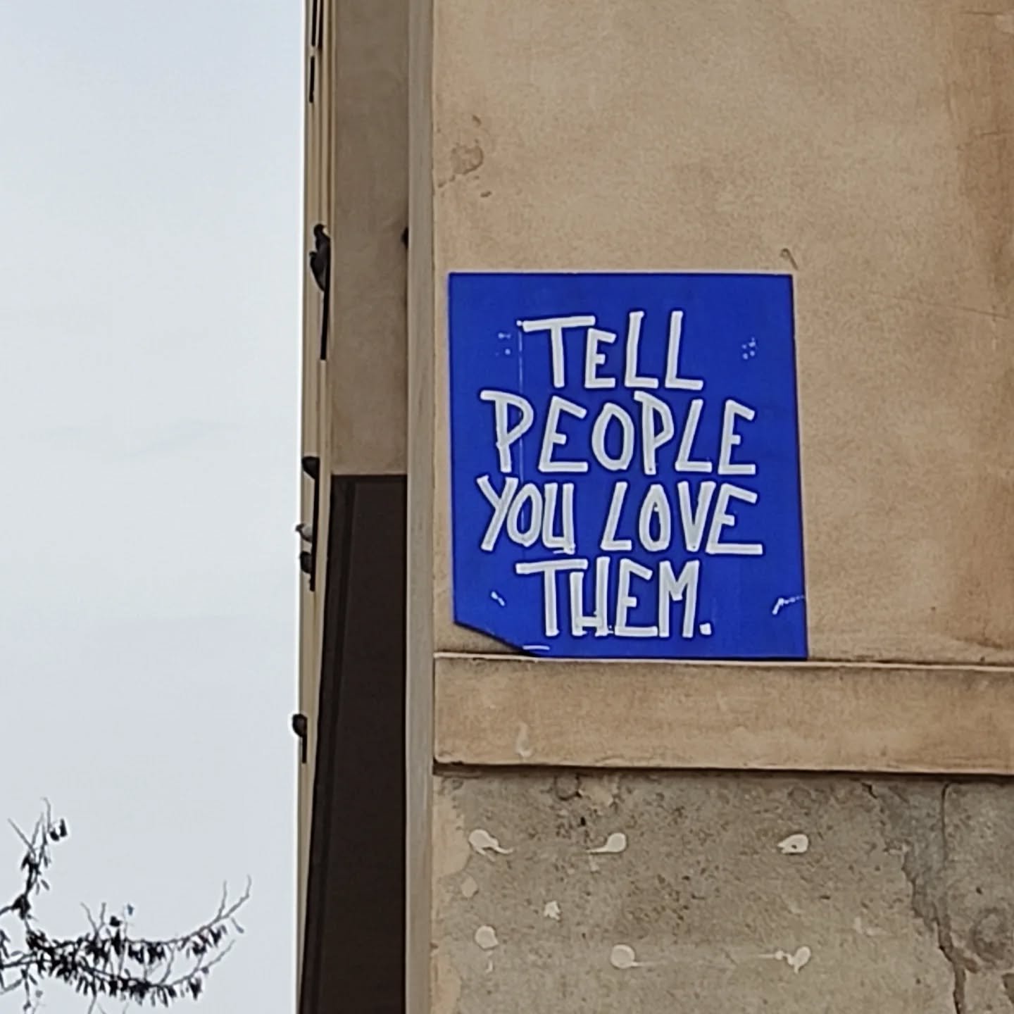 "Le persone non proteggeranno qualcosa che non hanno mai conosciuto". 

L'ha scritto @moiraivanamillan e, dopo averlo letto, mi sono fermata.

Due righe che sono un'iniziazione.
Due righe dopo cui ricominciare a esistere come un mondo nuovo