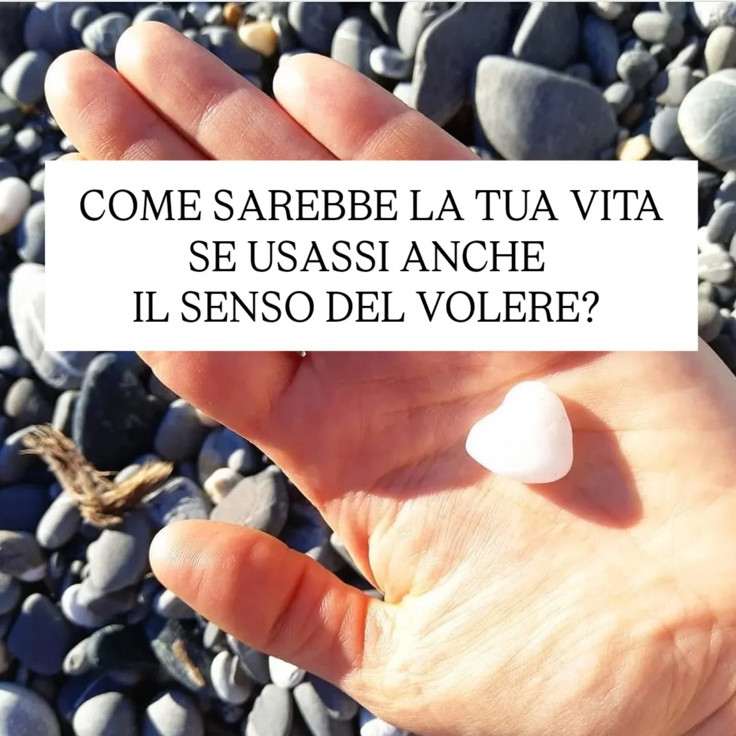 Hai letto bene: il senso del VOLERE. 

Se l'espressione ti stride e in un lampo ti fa comprendere quanto siamo addestratə a rispettare solo l'altro fratello - il senso del dovere - ti pu&ograve; interessare partecipare stasera al mio workshop online 