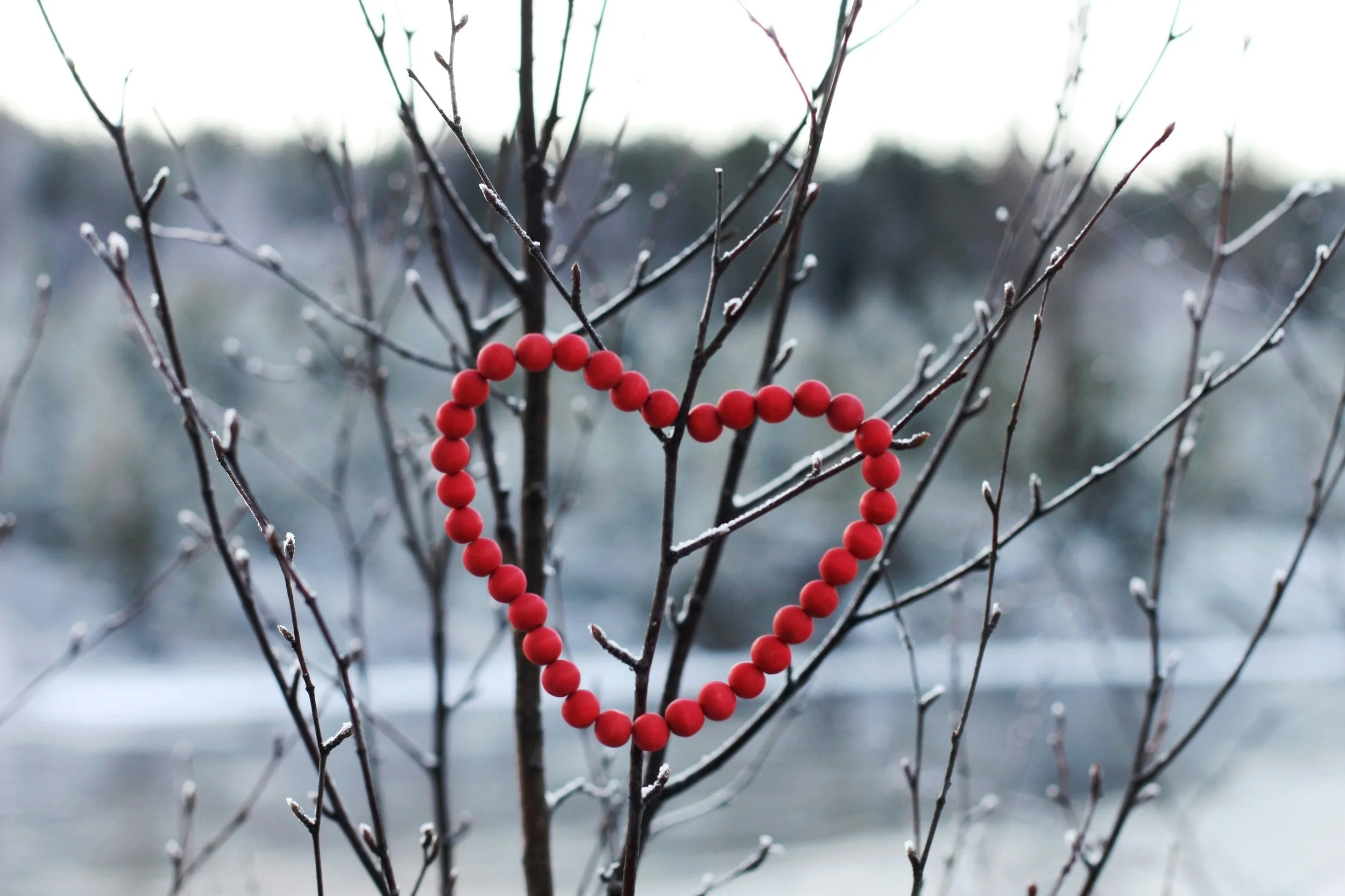 GLI OSTACOLI DEL CUORE - MONZA 7 MARZO