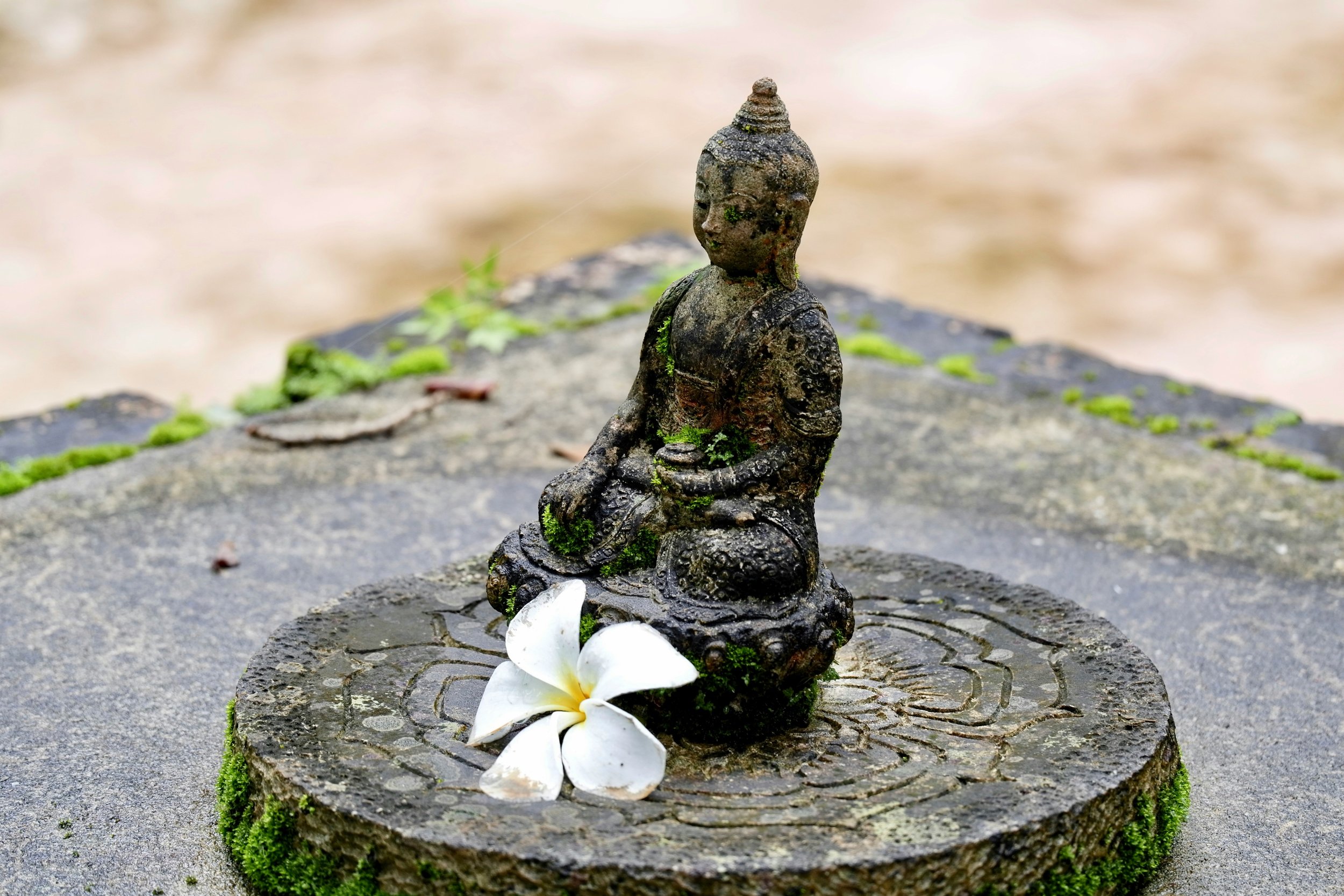 CINQUE MINUTI MINDFUL - ABBONAMENTO ANNUALE