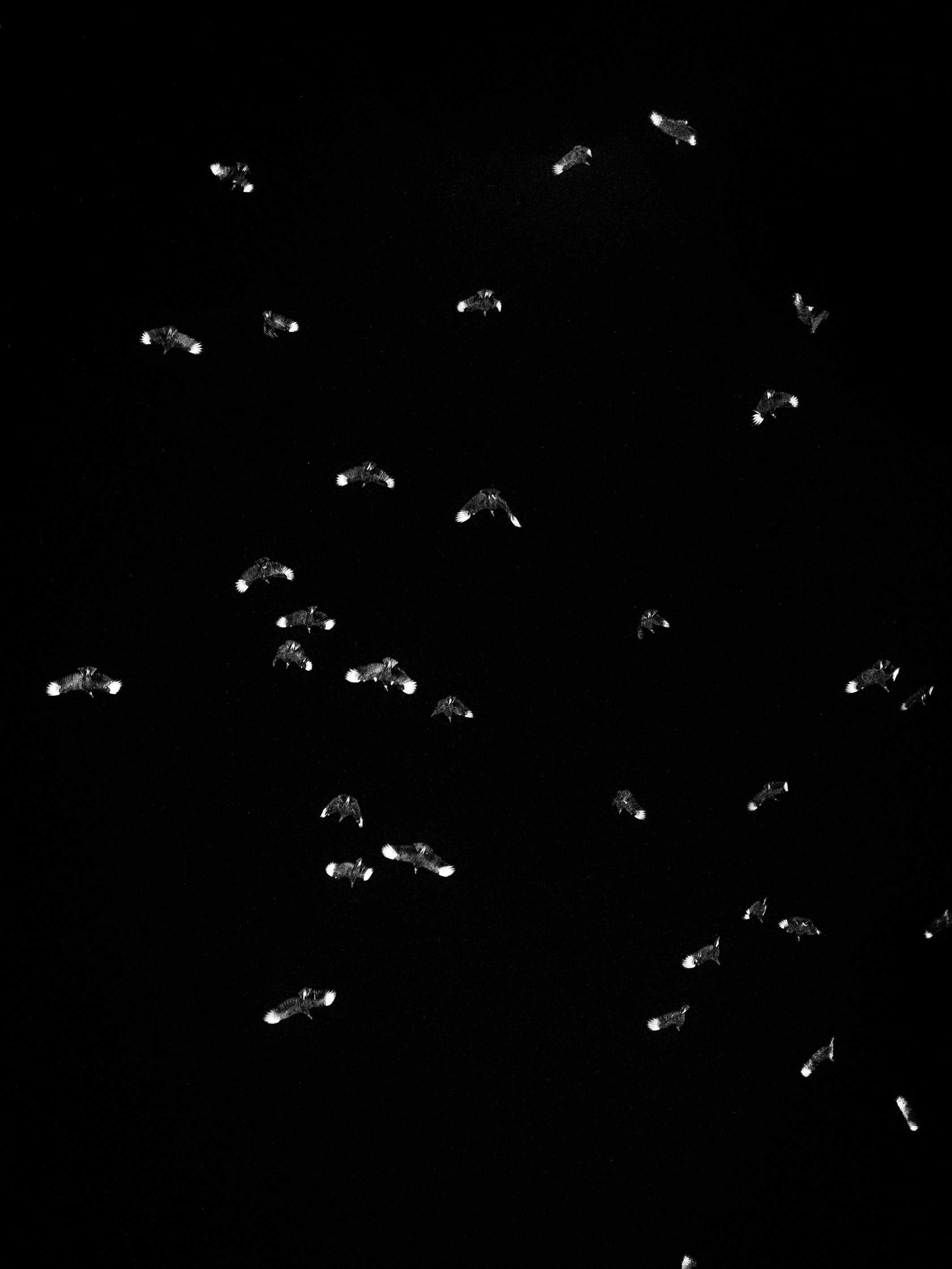 4E4A3137.JPG