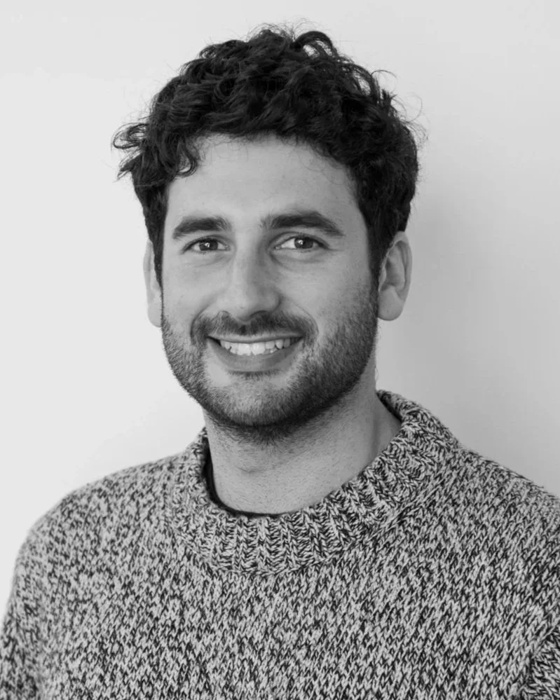 Noah Lion, Development Analyst