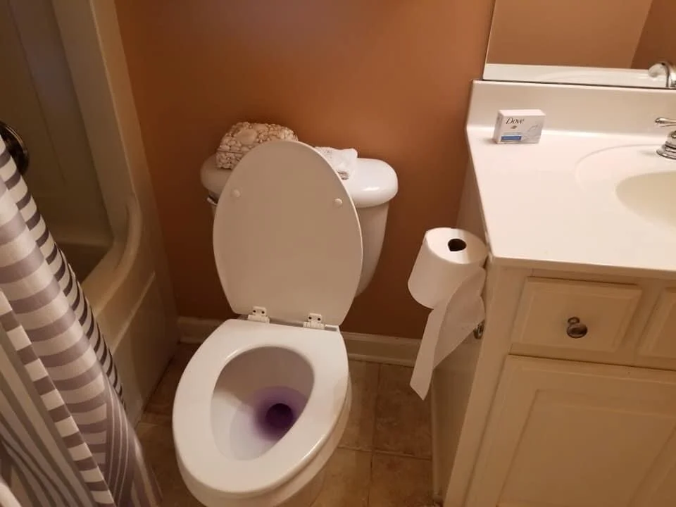 A bathroom with a toilet, shower, and sink. The toilet seat is up, showing purple-colored water inside the bowl. There is a roll of toilet paper on a holder attached to the side of the sink vanity. A small box of Dove soap or cream is on the sink cou