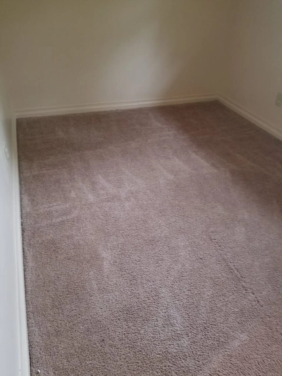 Empty beige carpeted room with white walls and baseboards.