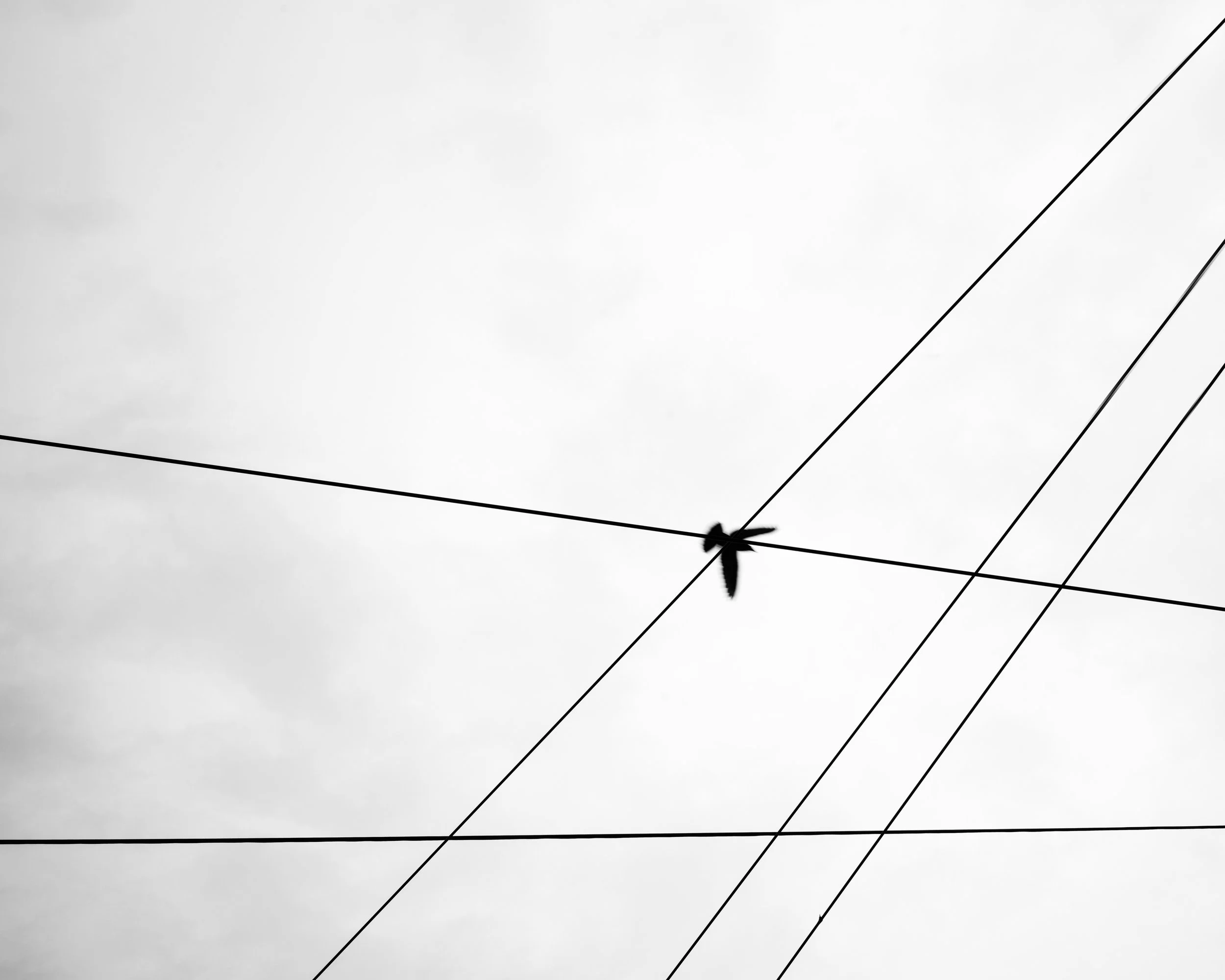 B0000814 copy.jpg
