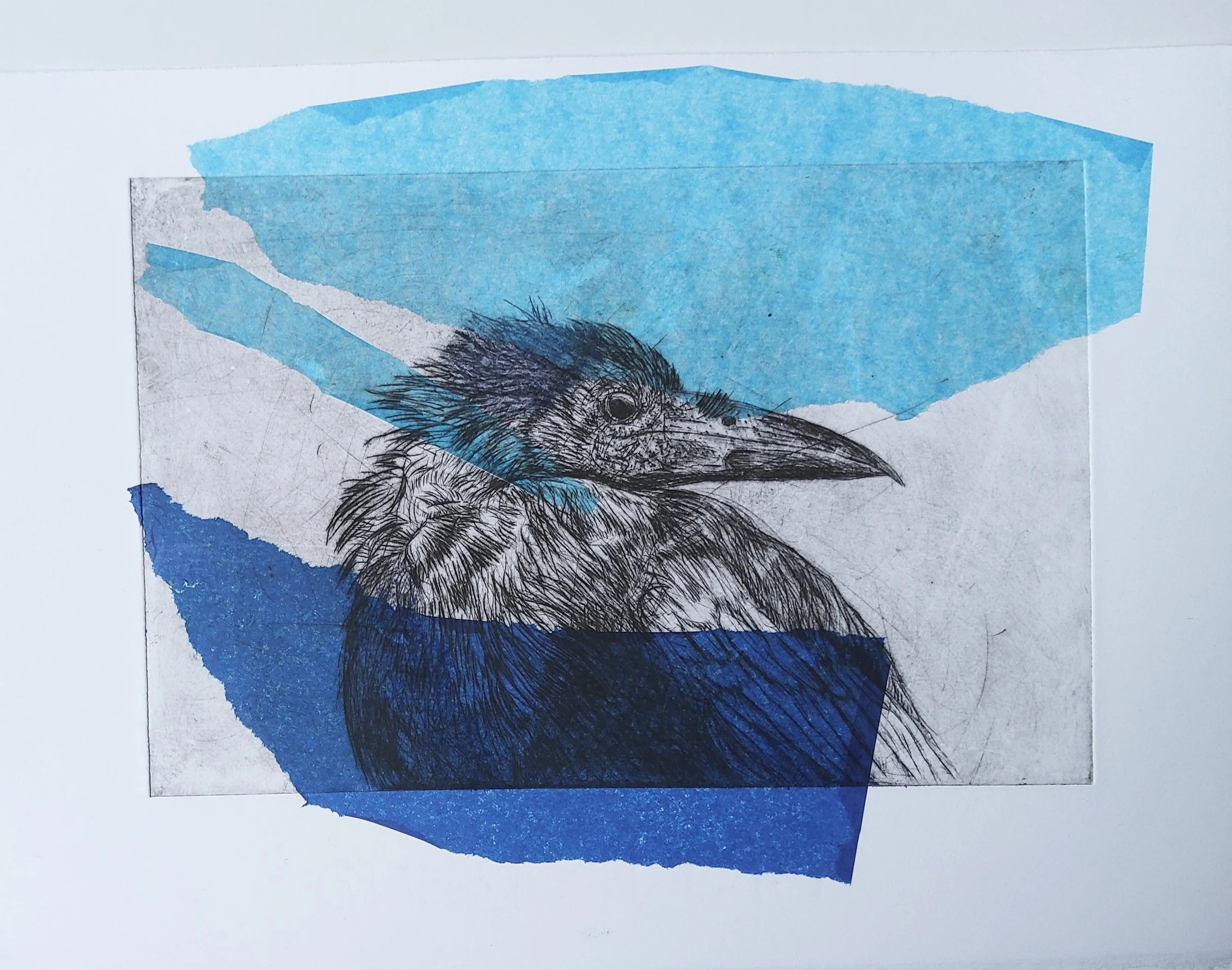 JMC DRYPOINT RAVEN - Jay Ray.jpg