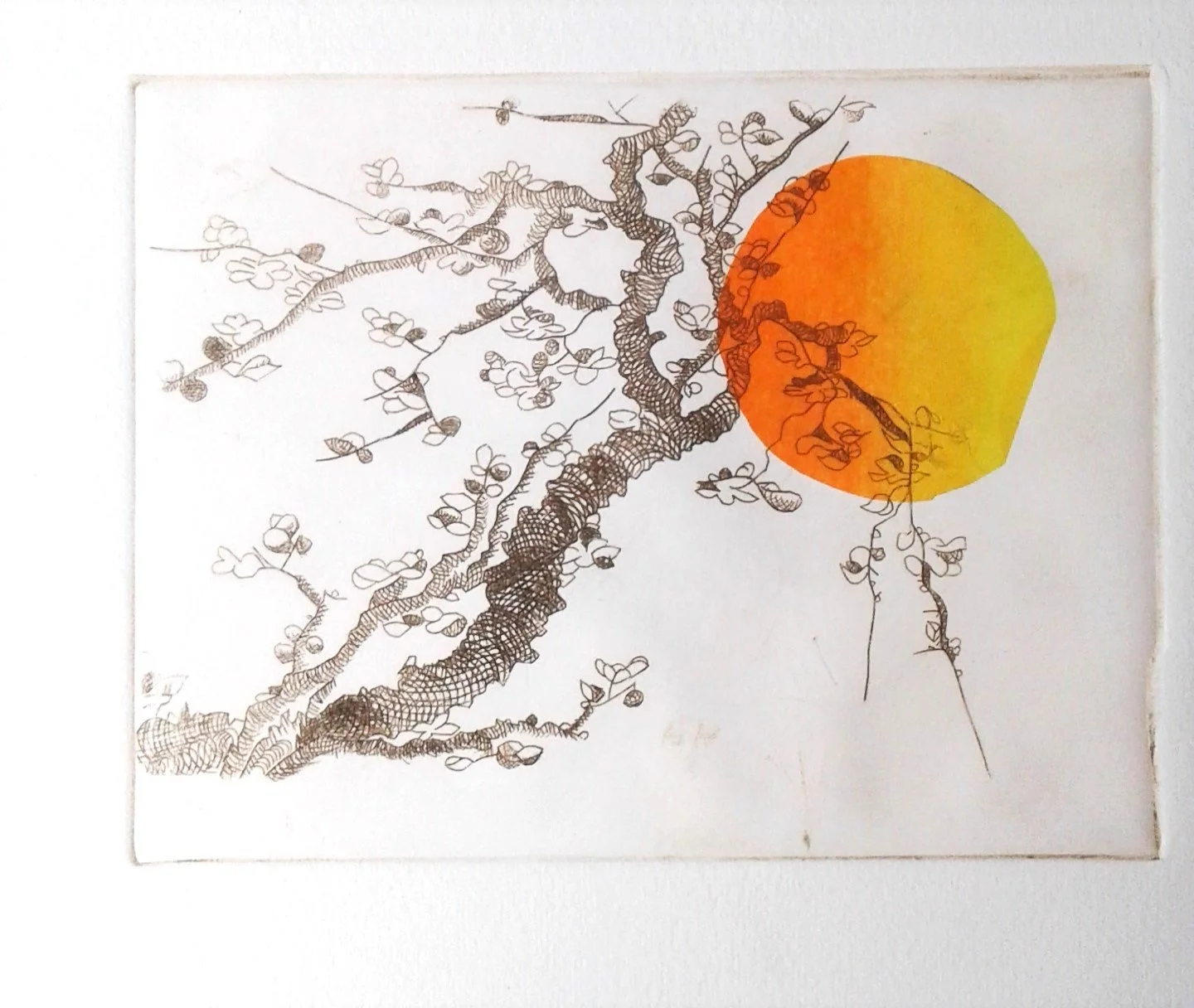 JMC DRYPOINT TREE SUN - Jay Ray.jpg