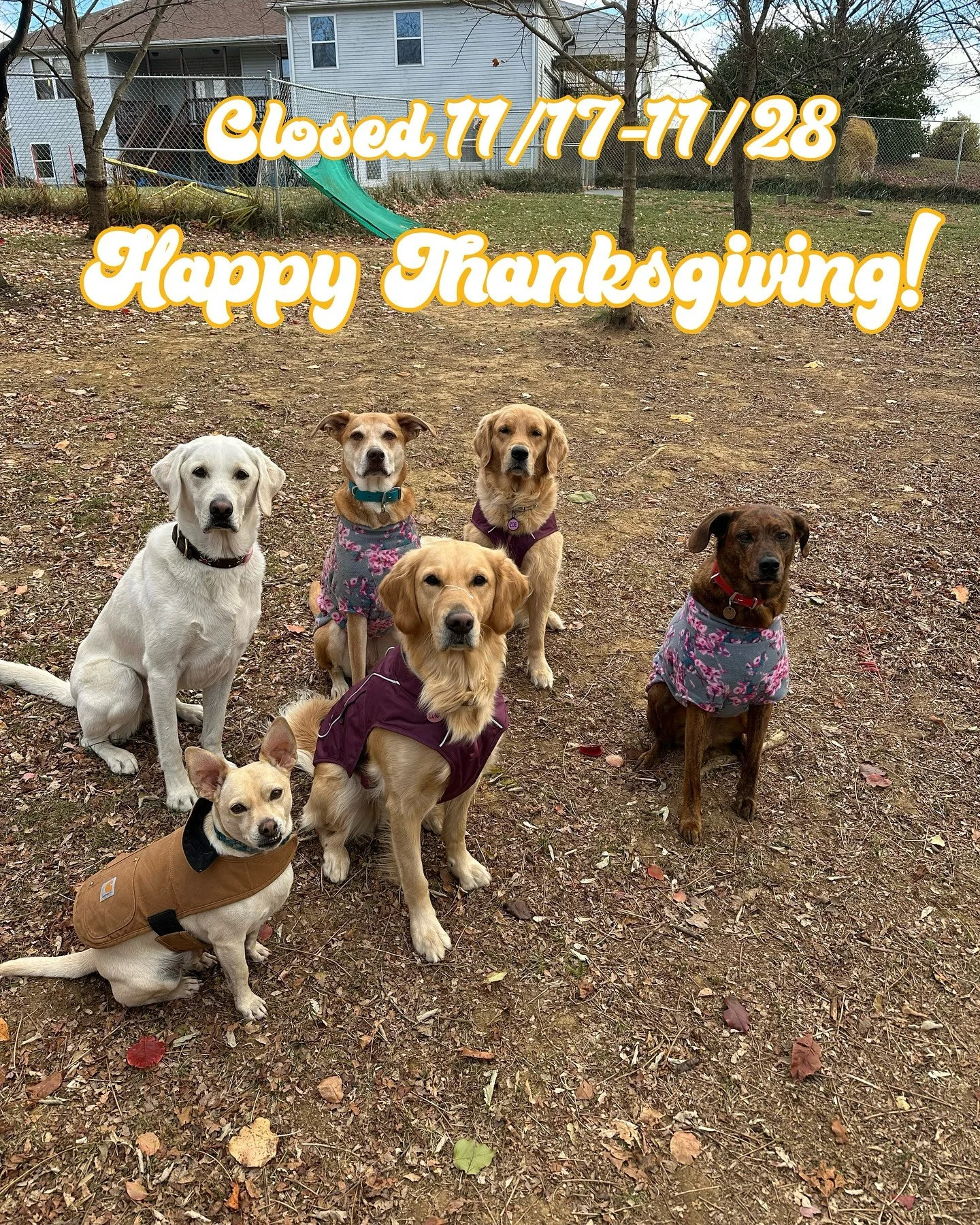 Heads up that we&rsquo;ll be closed the next two weeks starting Monday, 11/17, through Friday, 11/28 and reopen on Monday, 12/1. Liz is going to Florida to compete in a national agility competition, the UKI US Open, and then we&rsquo;ll be closed for