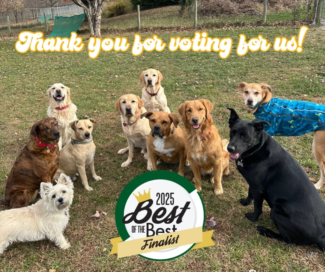 Thank you all so much for voting for us in the Best of the Best! It&rsquo;s a huge honor to be announced as a finalist (top 3)! We&rsquo;re a small business with a small, core group of amazing clients who almost all come to us every week. So much so 