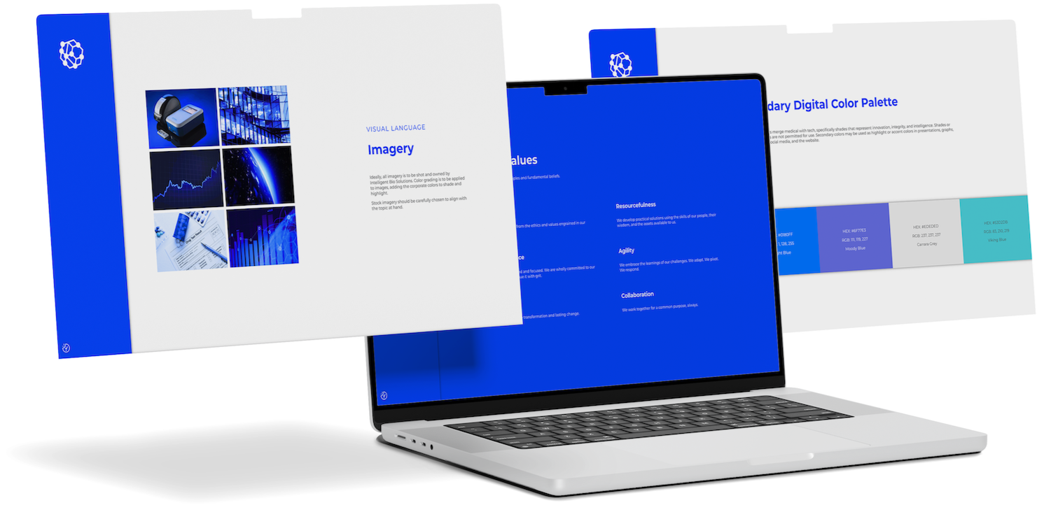 INBS Brand Guidelines