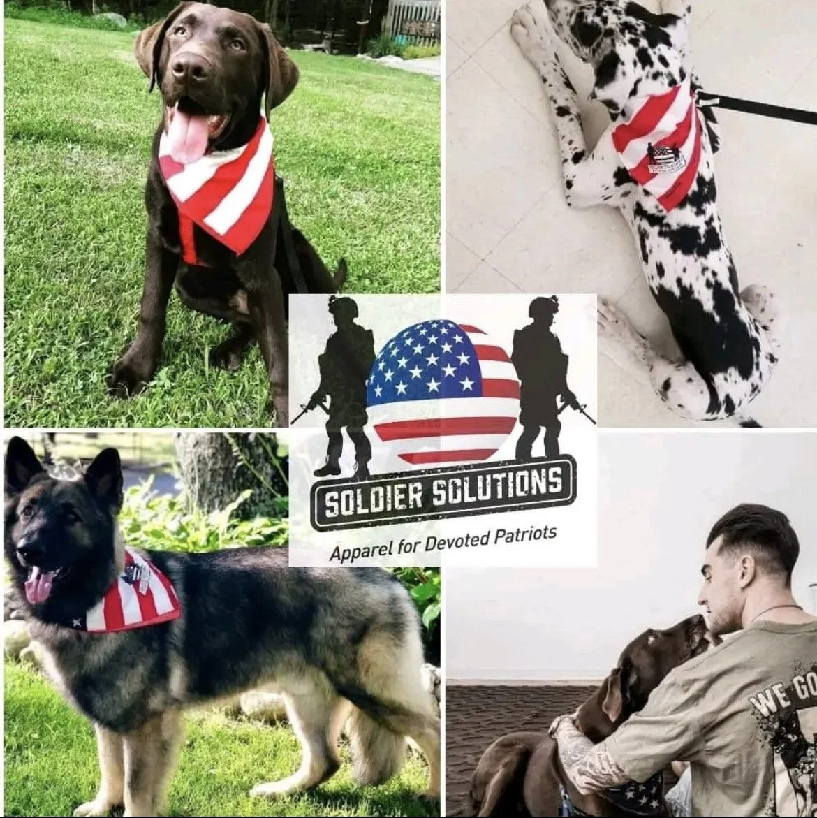 Soldier Solutions &amp; Operation Companion