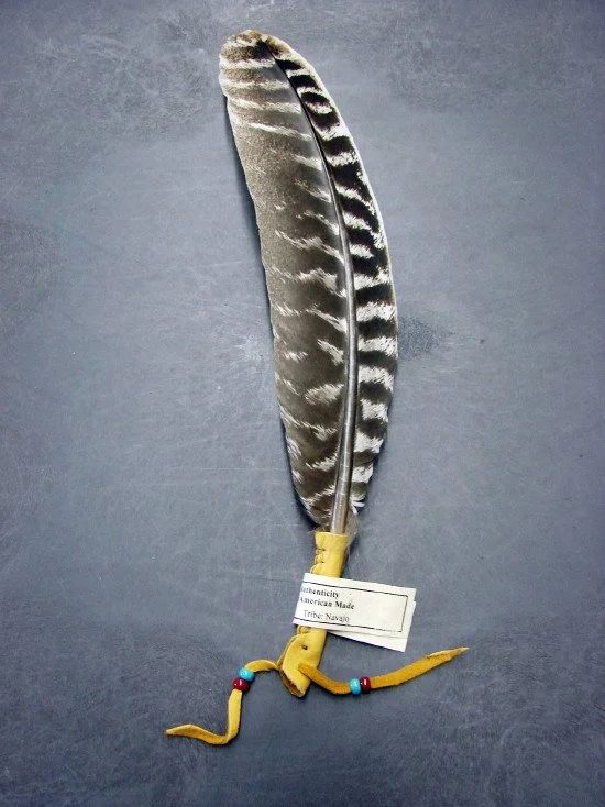 Highlighting Native Culture: The Feather