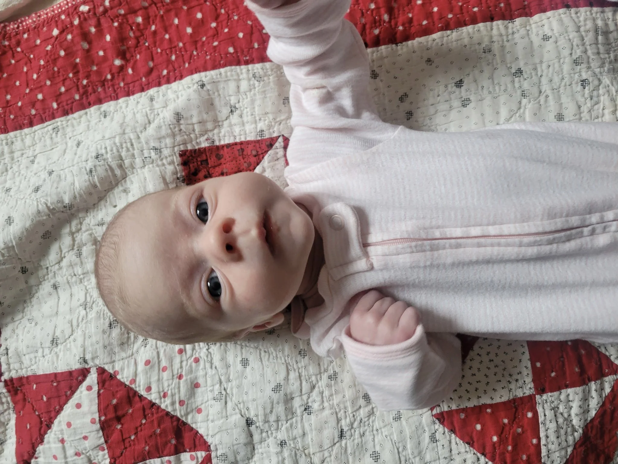 why my feed has been barren for like a month