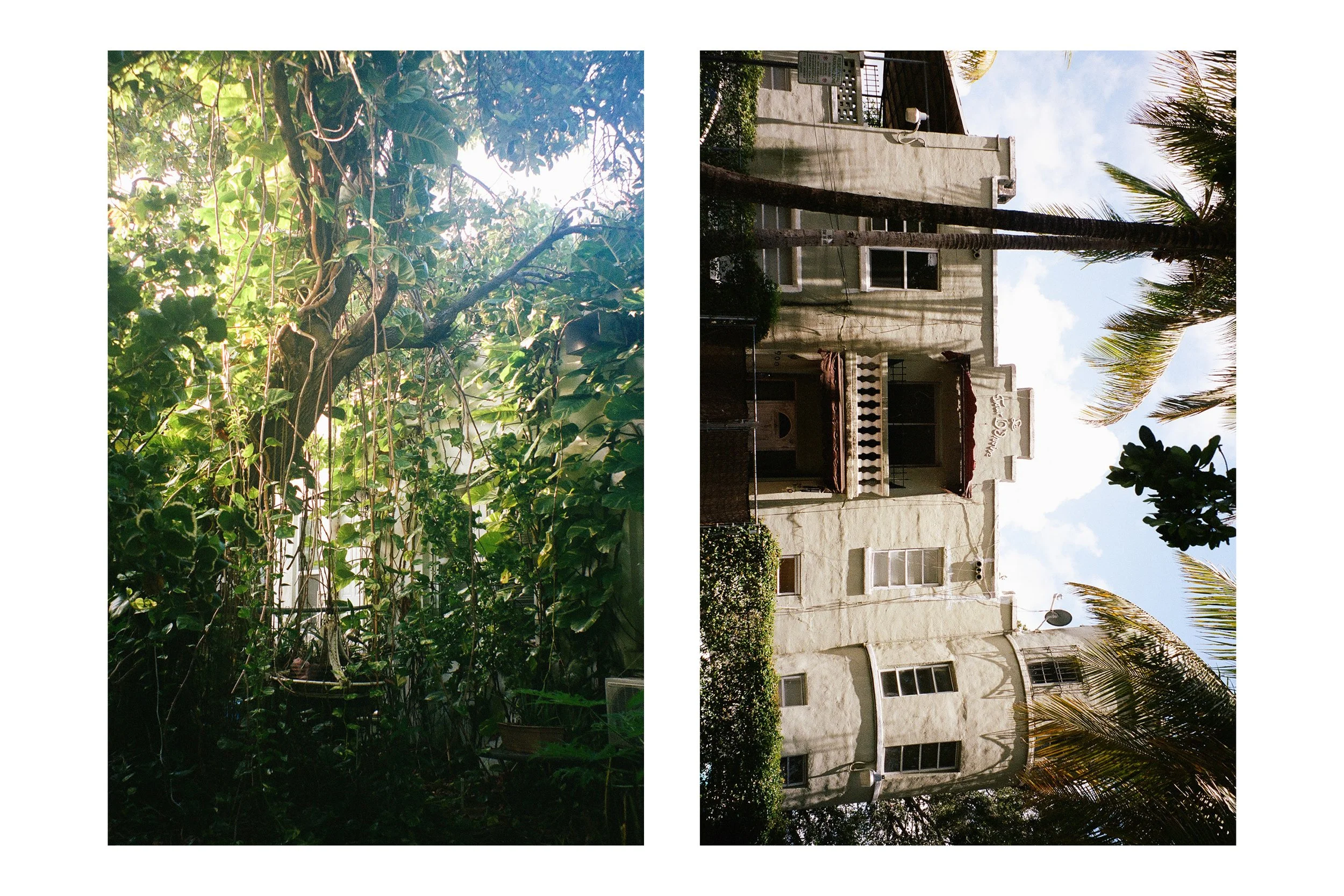 cleveland film wedding photographer