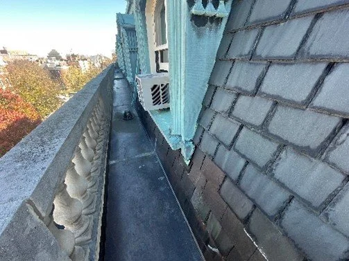 Enclosure survey.jpg