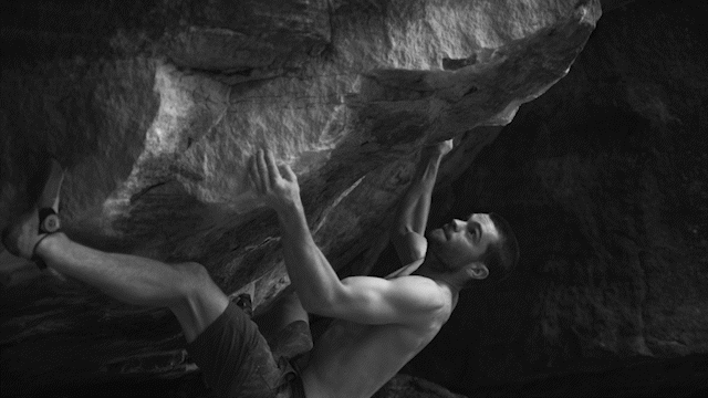 TNF WELCOMES TOM O'HALLORAN