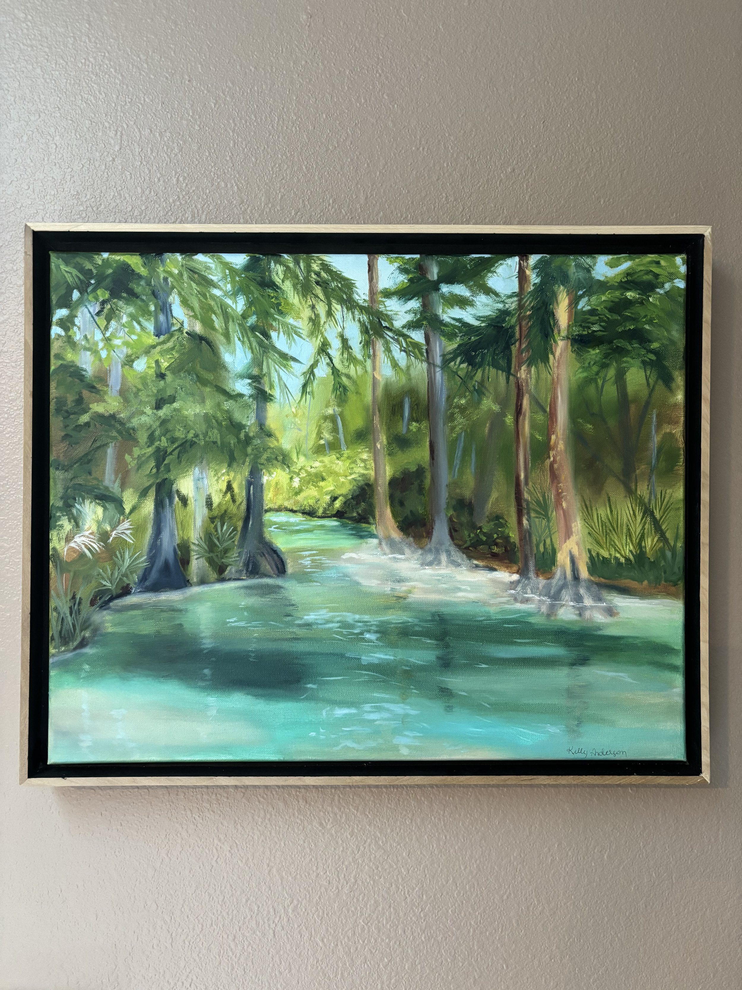 Sun on the Weeki Wachee - framed 16x20