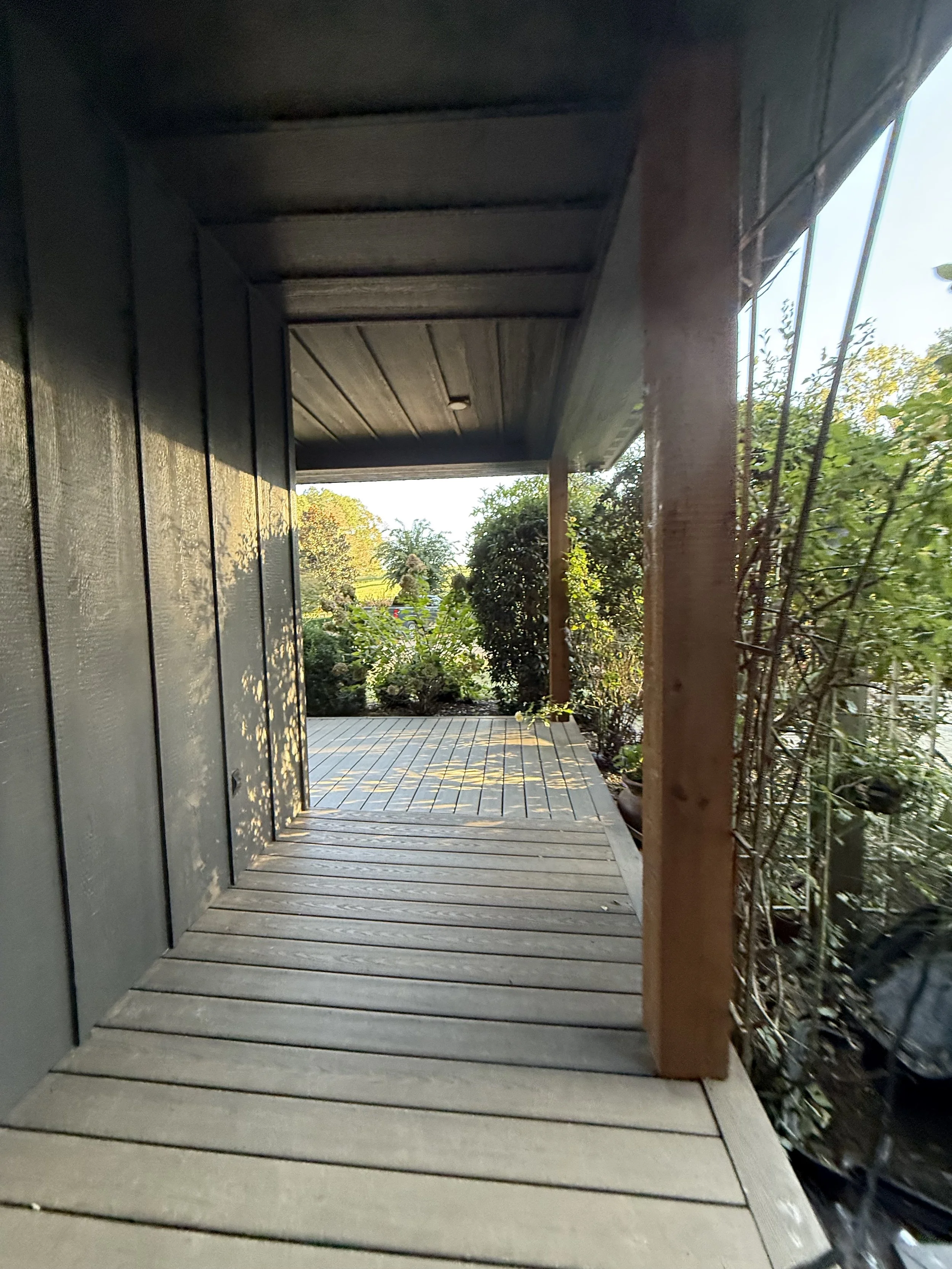 IMG_6392.jpeg
