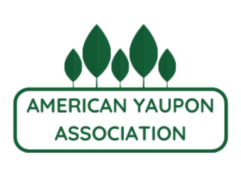 American Yaupon Association