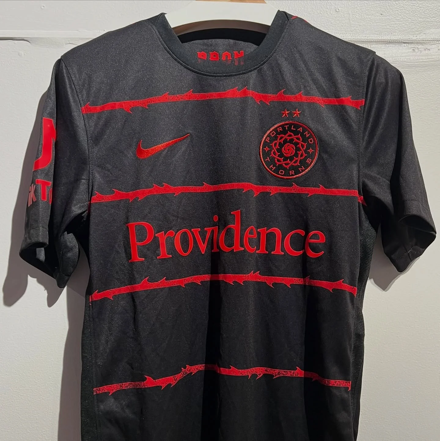 2025 NWSL Playoffs &mdash; Catch the Portland Thorns v San Diego Wave Match this Sunday- 11/9 at 12.00 PM on #DINGO-TRON