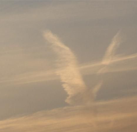 Number Sequences From The Angels