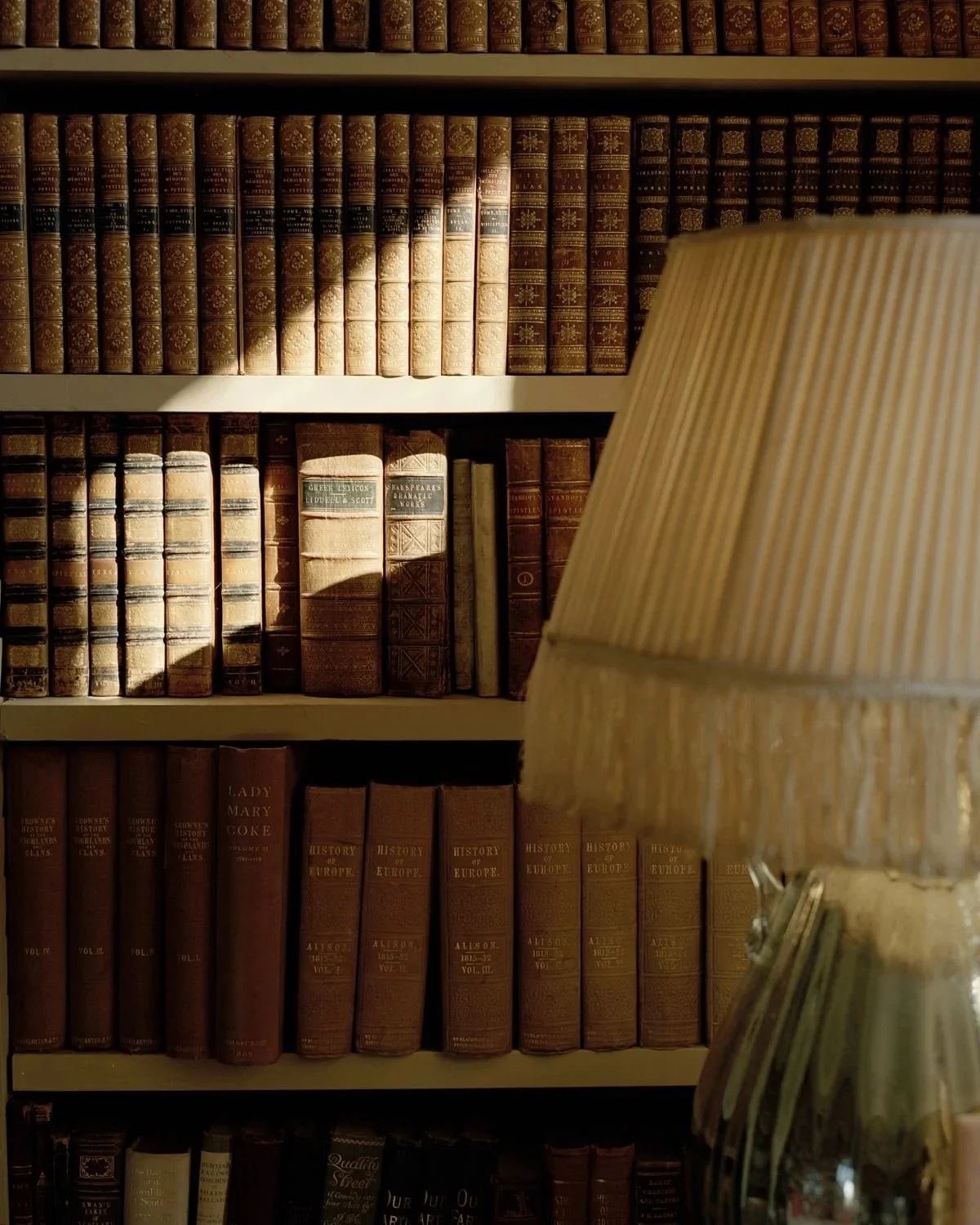 Bookshelves filled with old, leather-bound books and a table lamp with a striped lampshade. House of Nicoline - HON - intuitive guidance, astrocartography, viberise