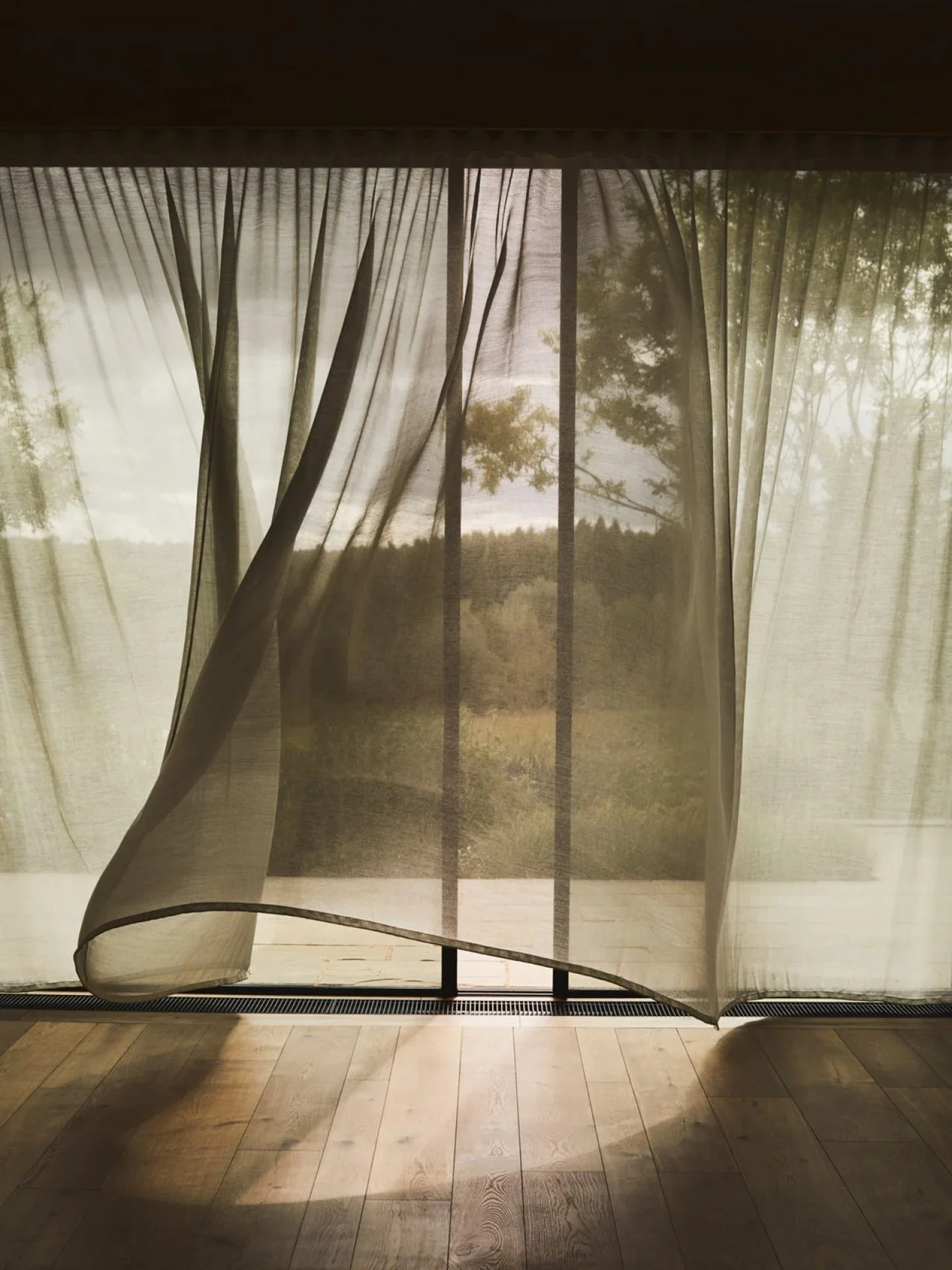 View through sheer curtains showing trees and a cloudy sky outside. House of Nicoline - HON - intuitive guidance, astrocartography, viberise - Jetta Nicoline Harrison