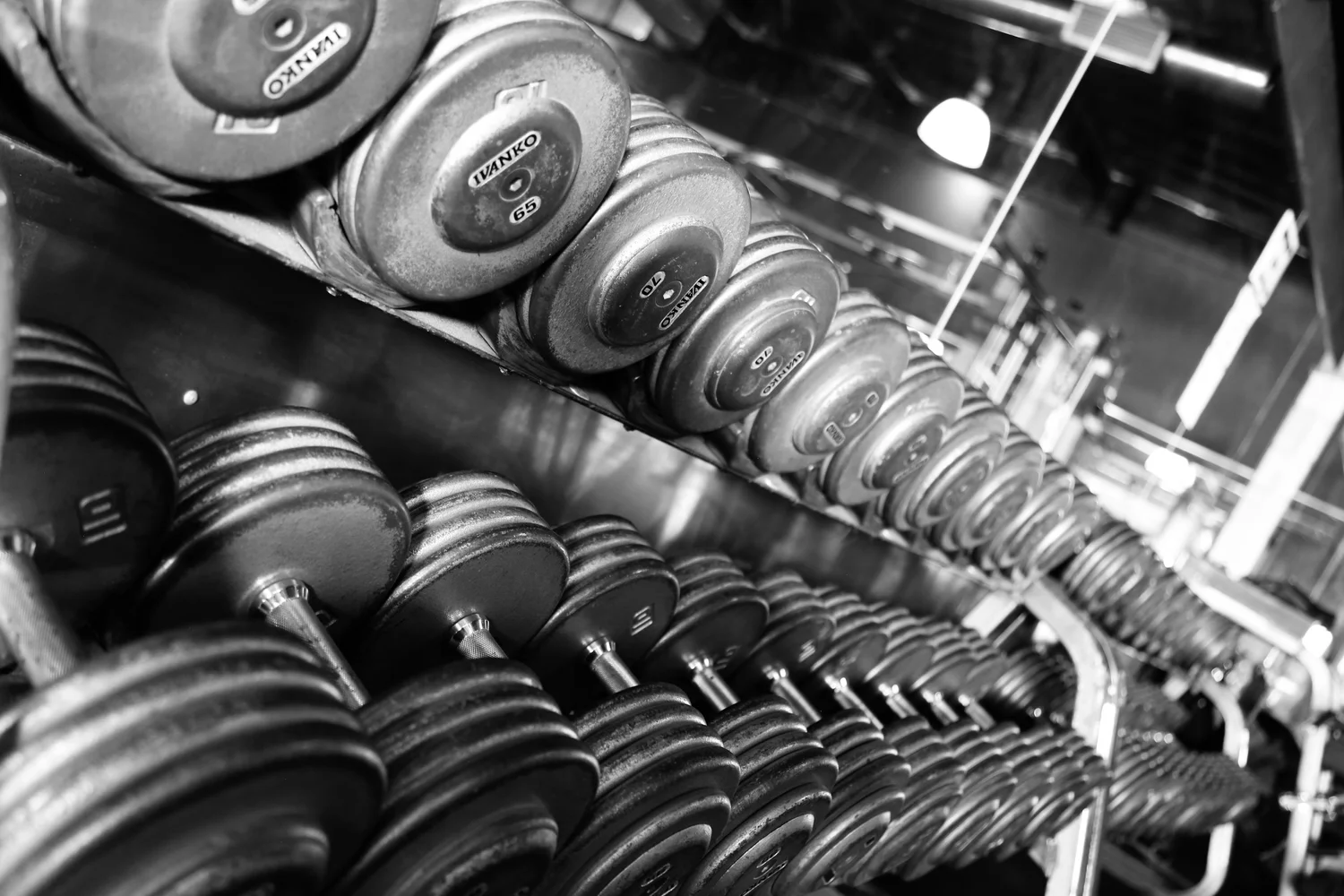 Inside LM Fitness Center
